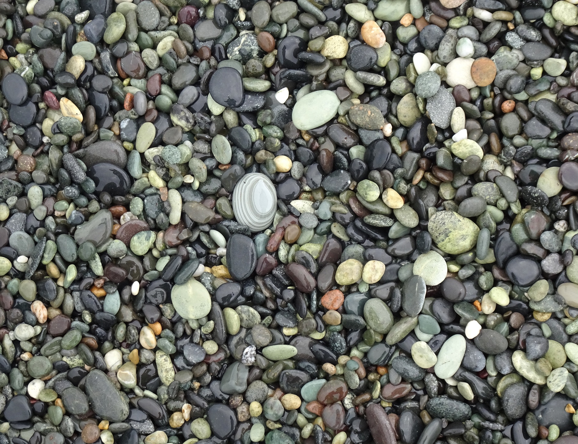Ths stone just called out to be picked up.