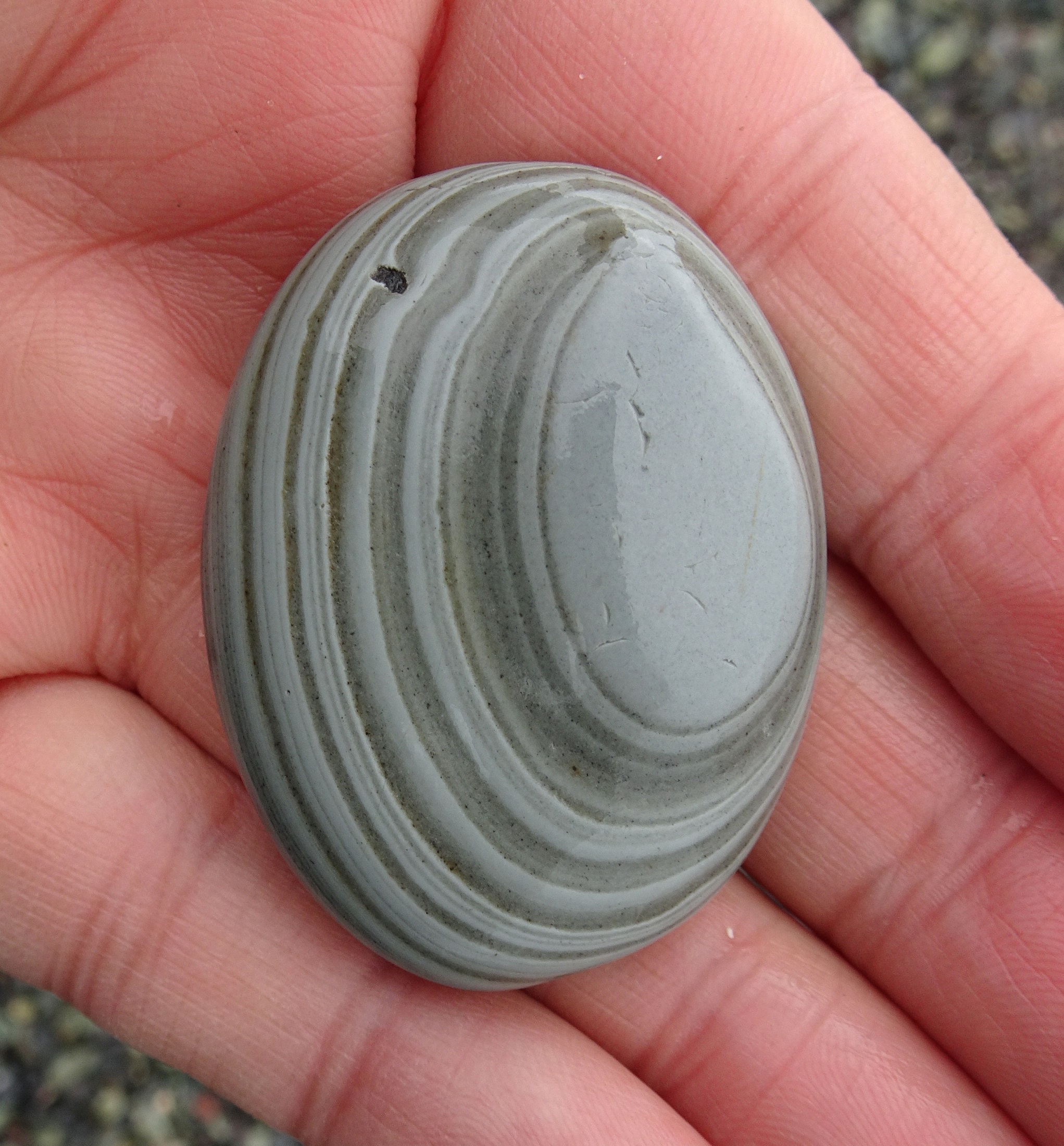 Banded argillite.