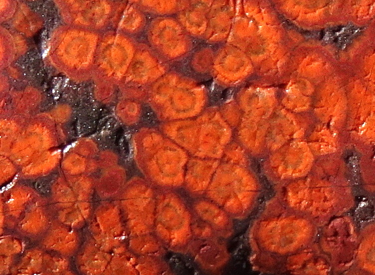 01zz22
