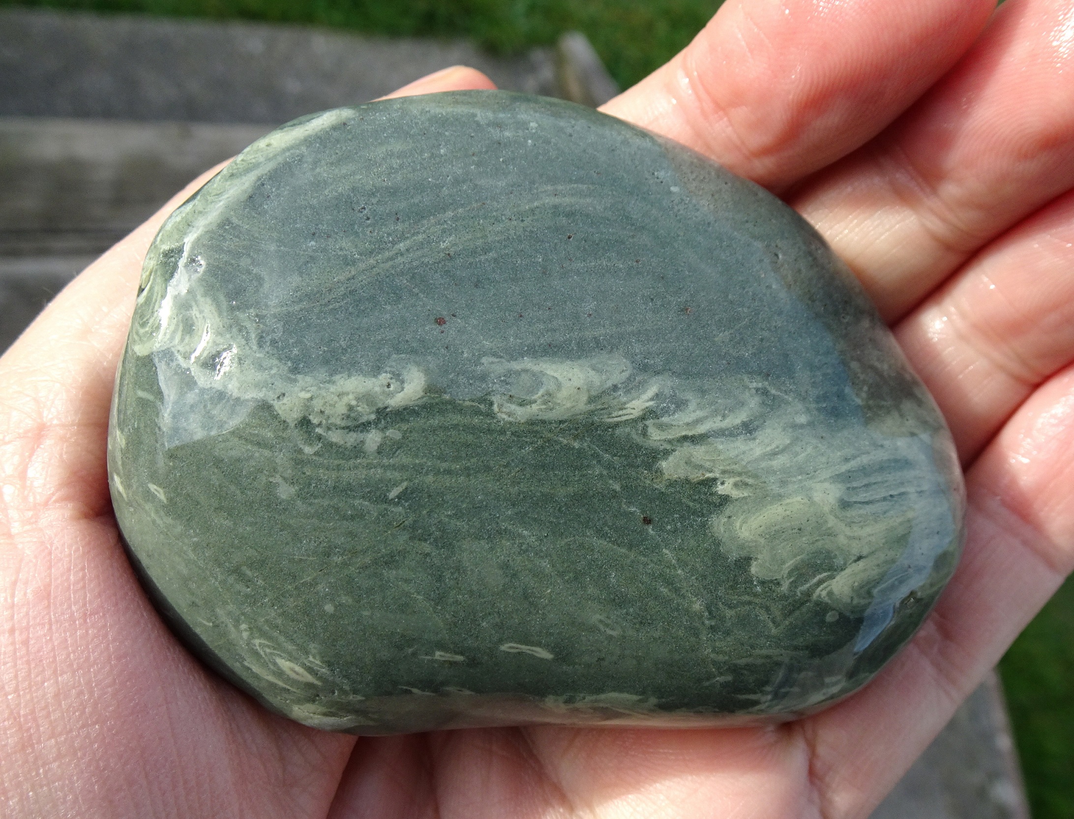 Trace fossil in argillite.
