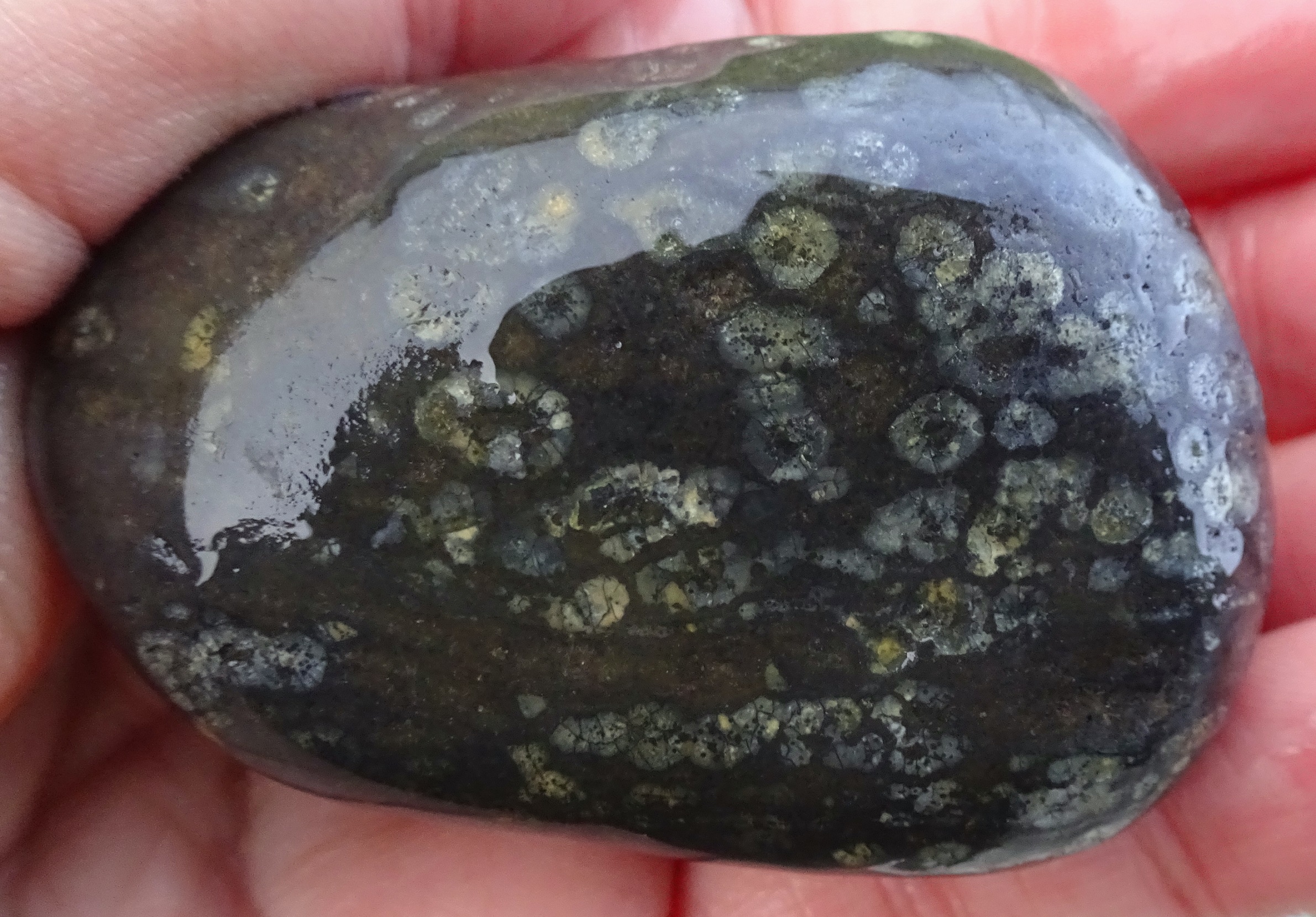 Same stone wet.