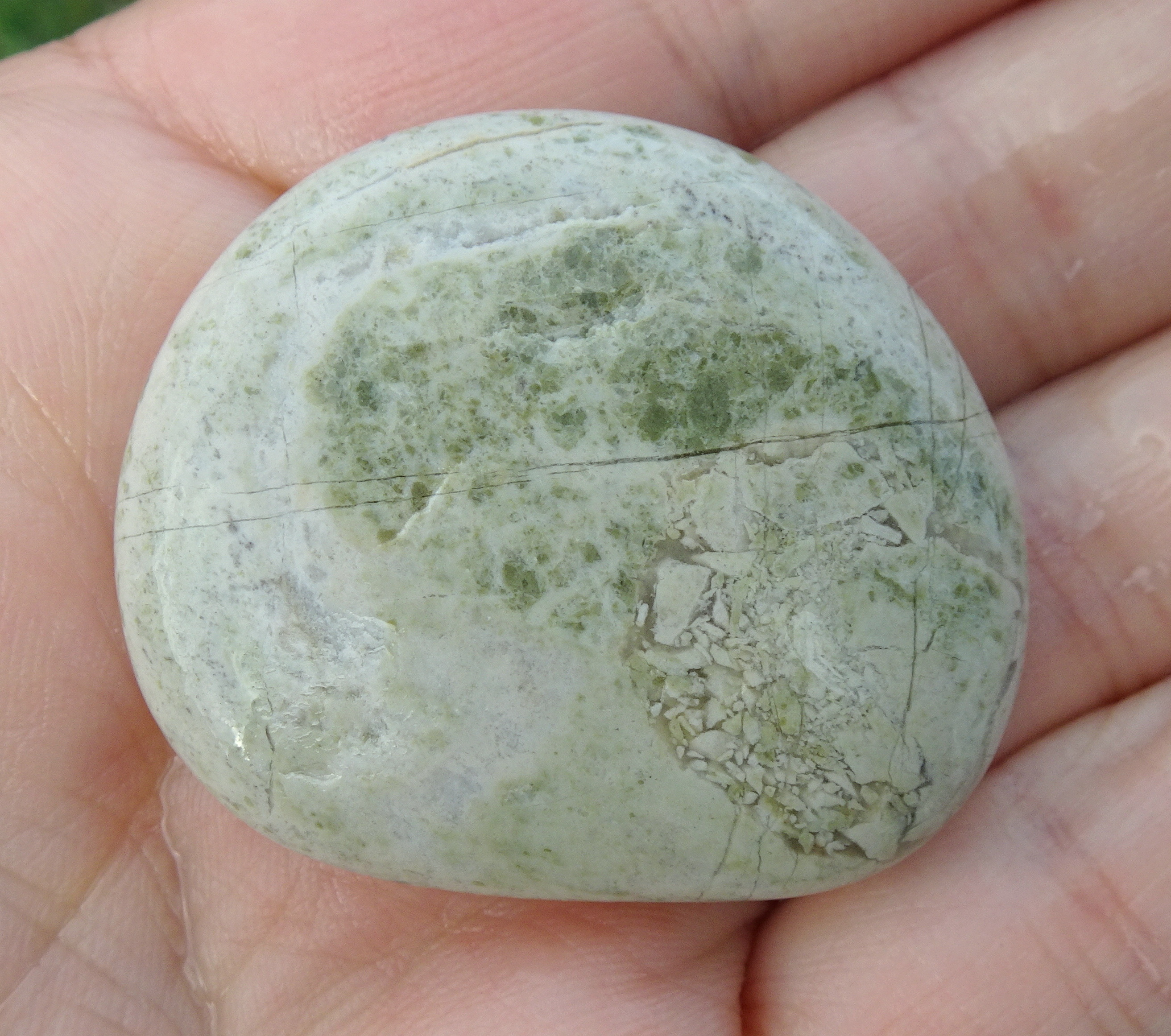 Stone with brecciated section at lower right.
