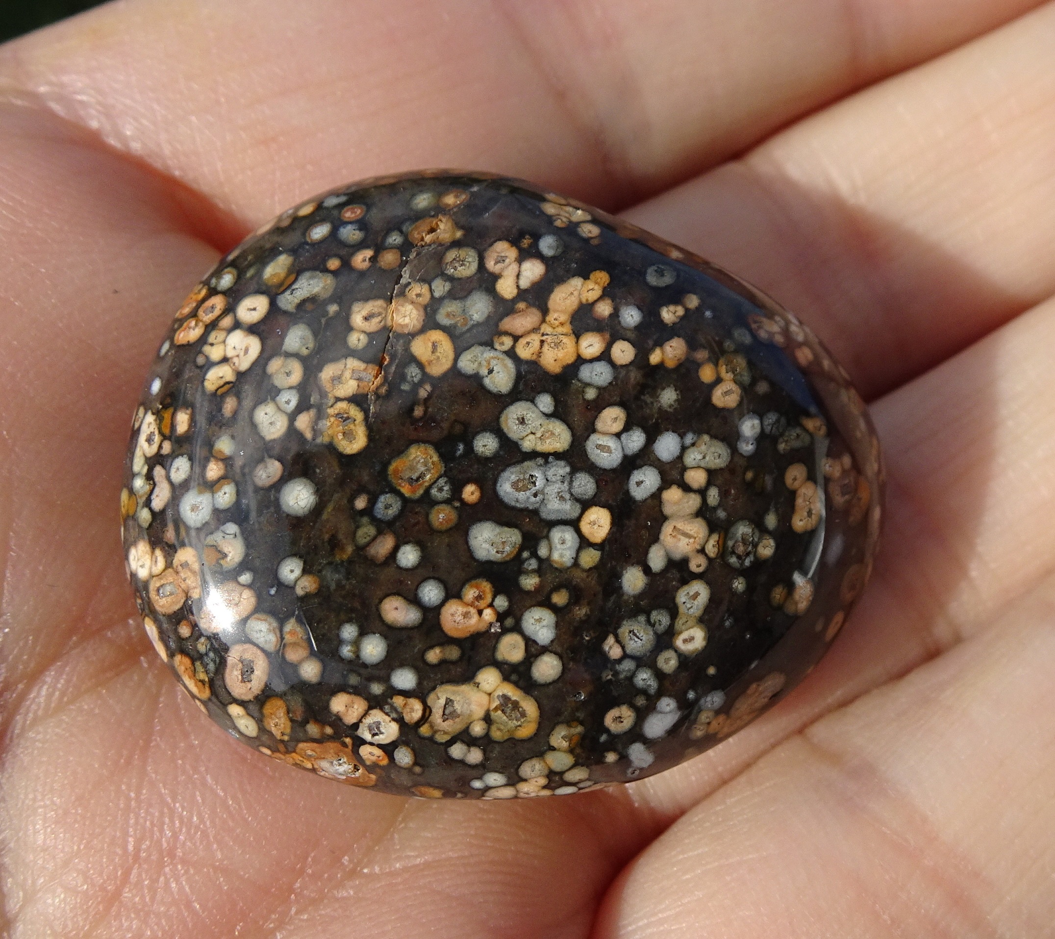 Stone 18.