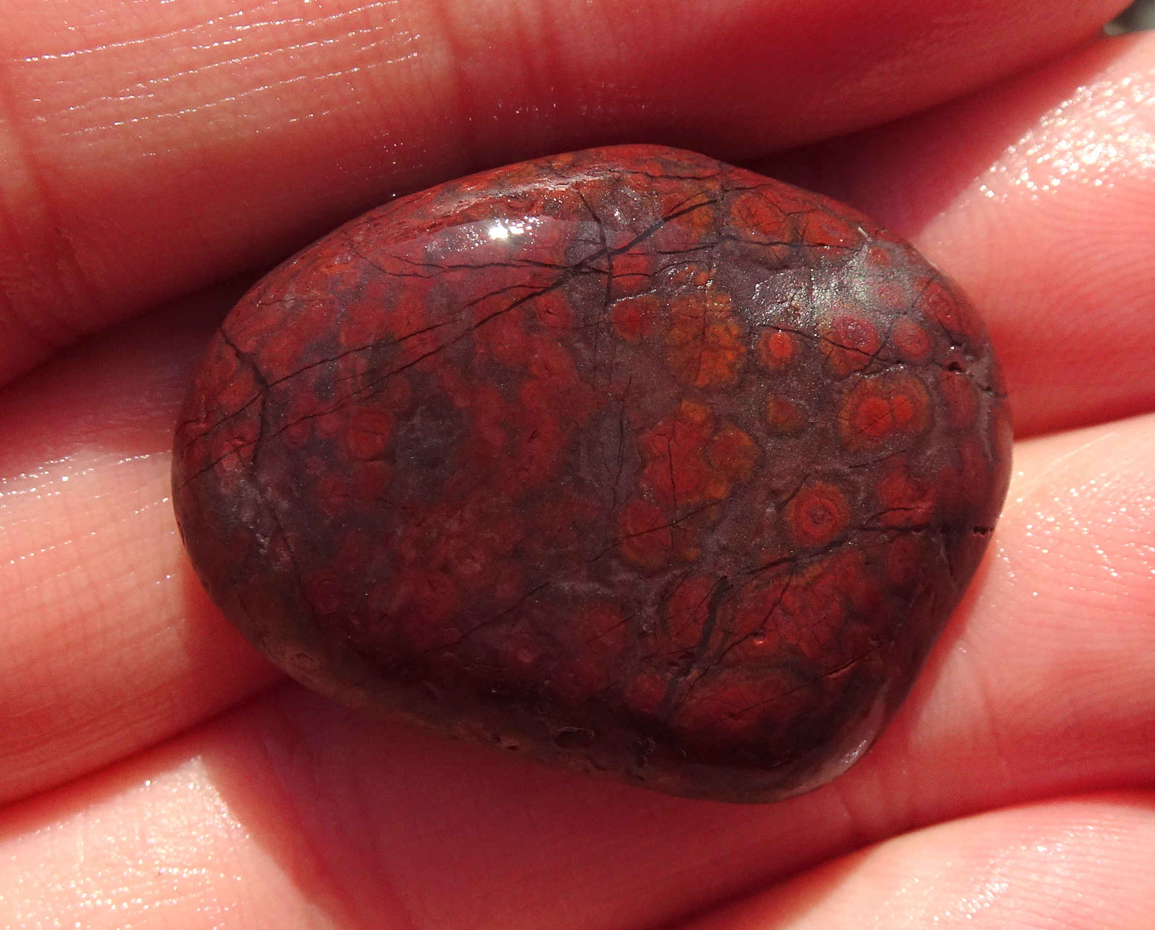 Small orbicular jasper.