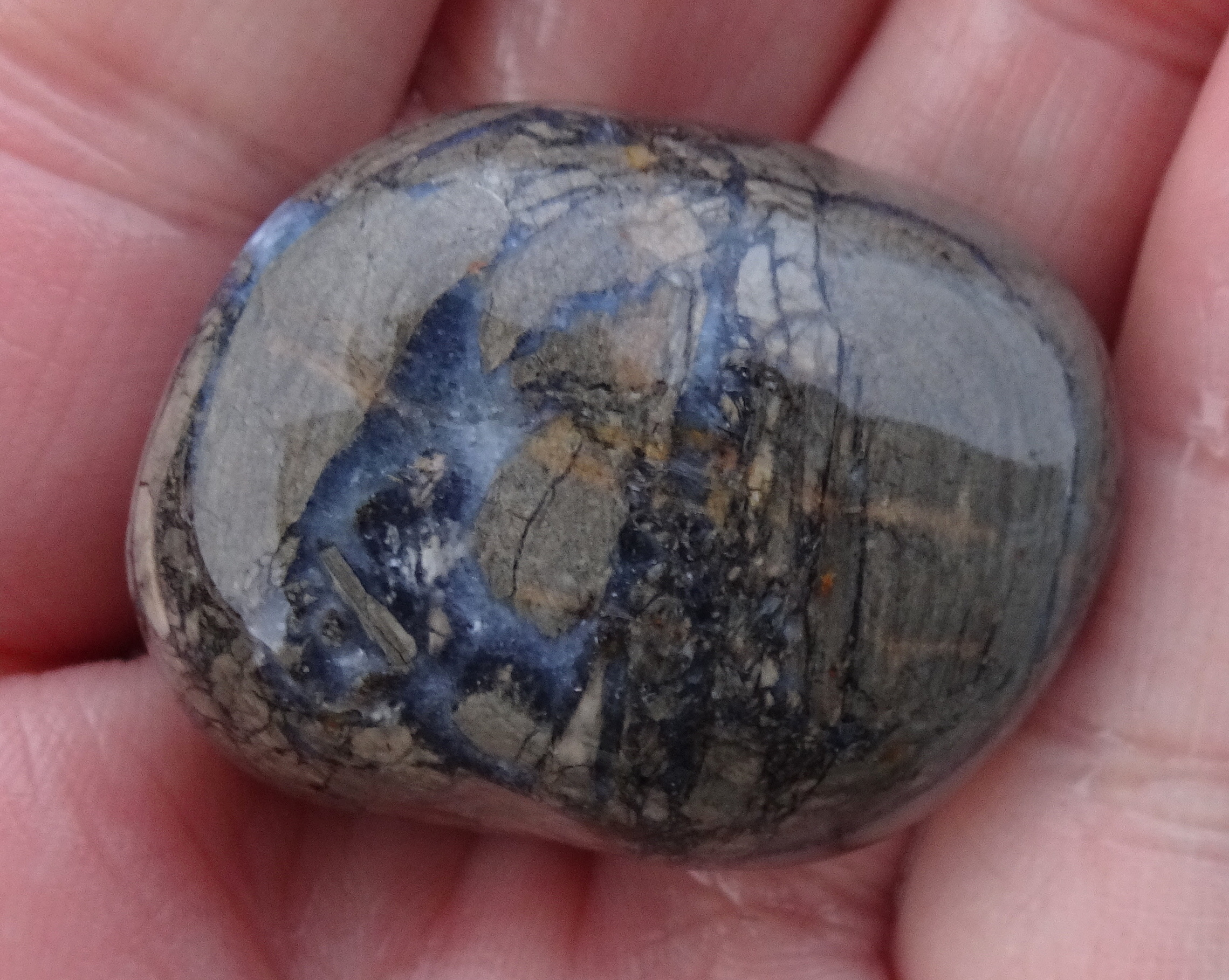 Petrified wood.