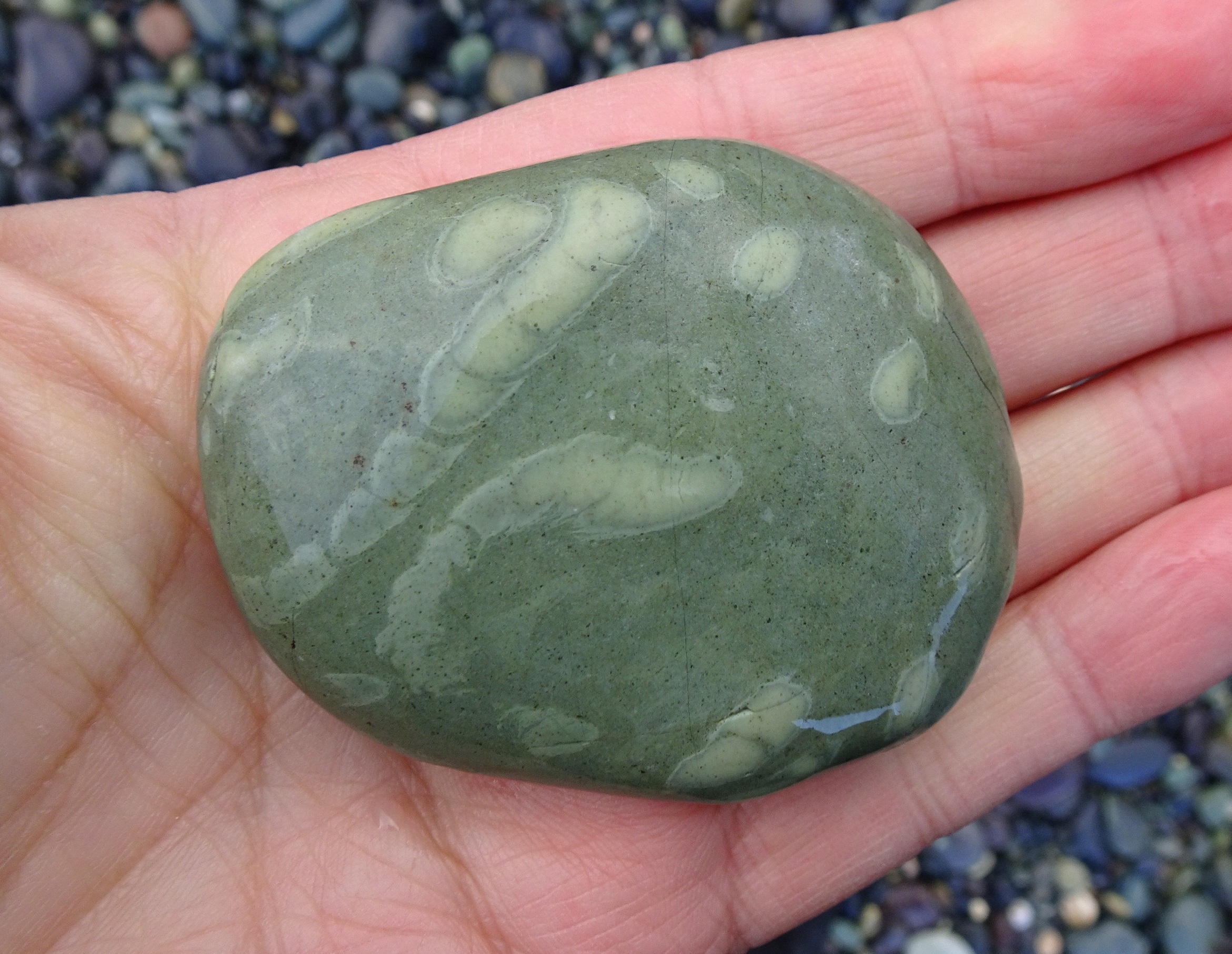 The shapes of trace fossil stones also catch the eye in the gloom.