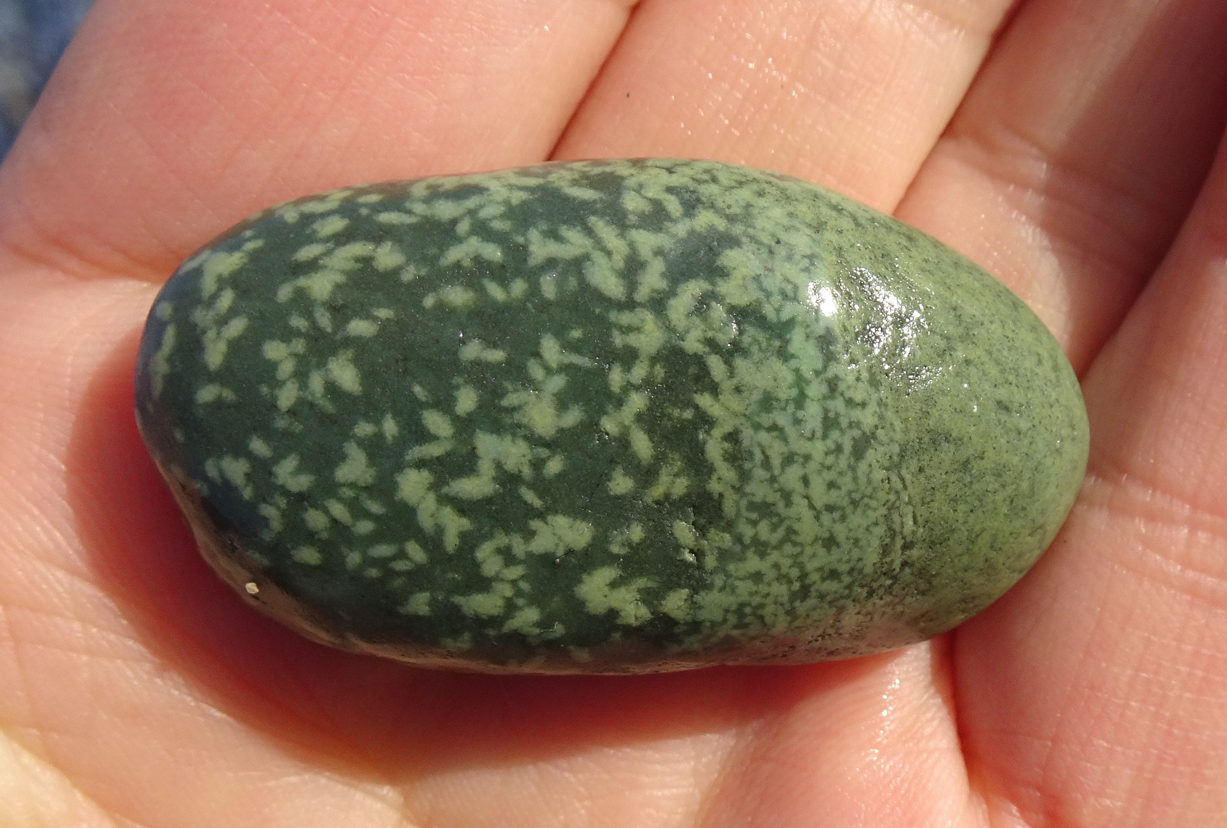 Could be argillite.