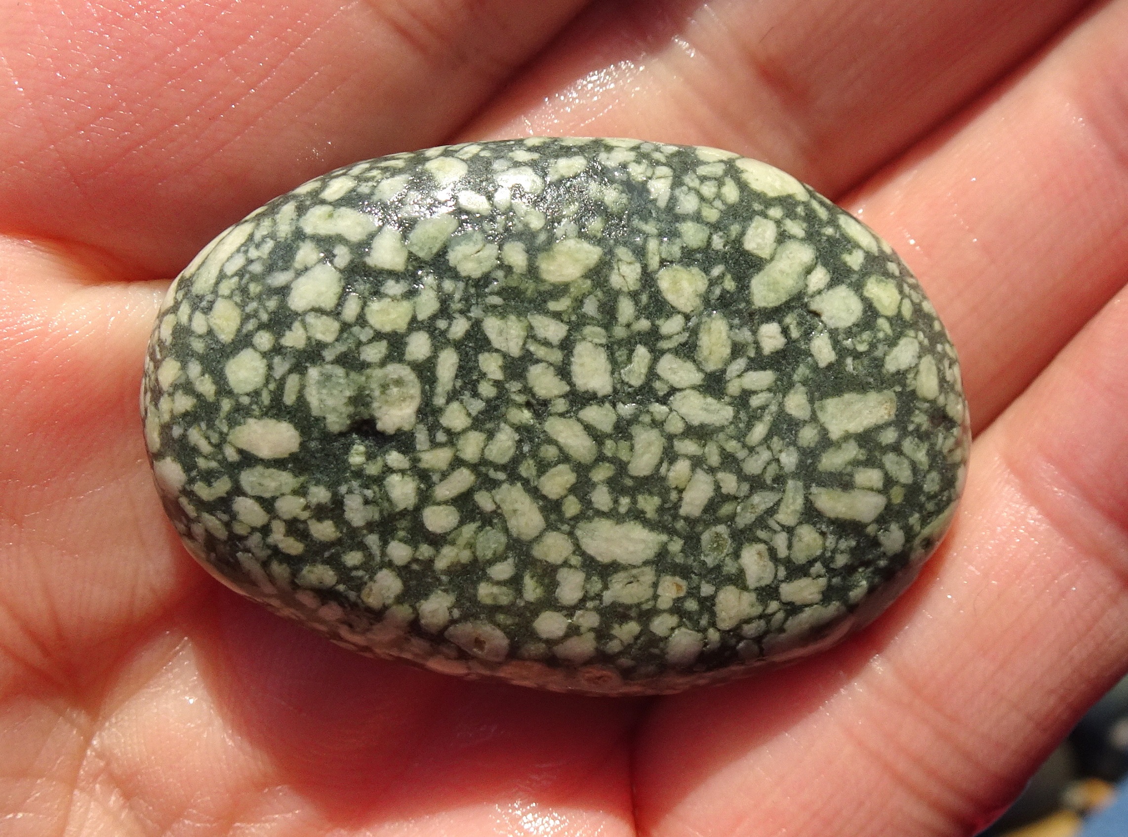 Porphyry.