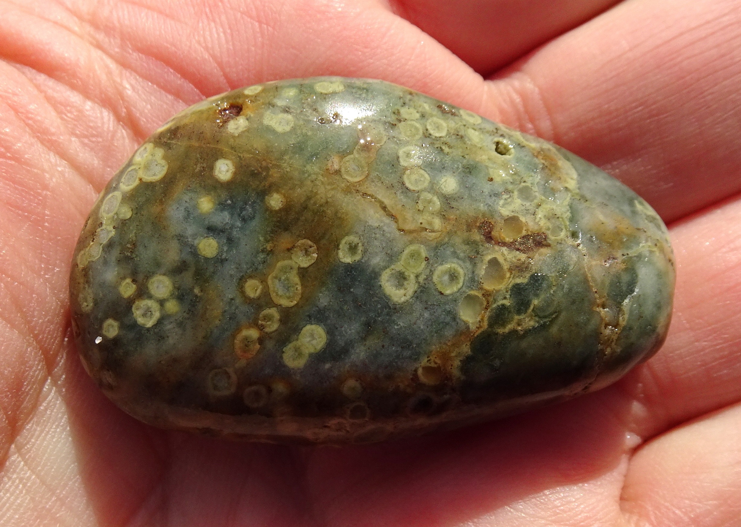 Orbicular stone.