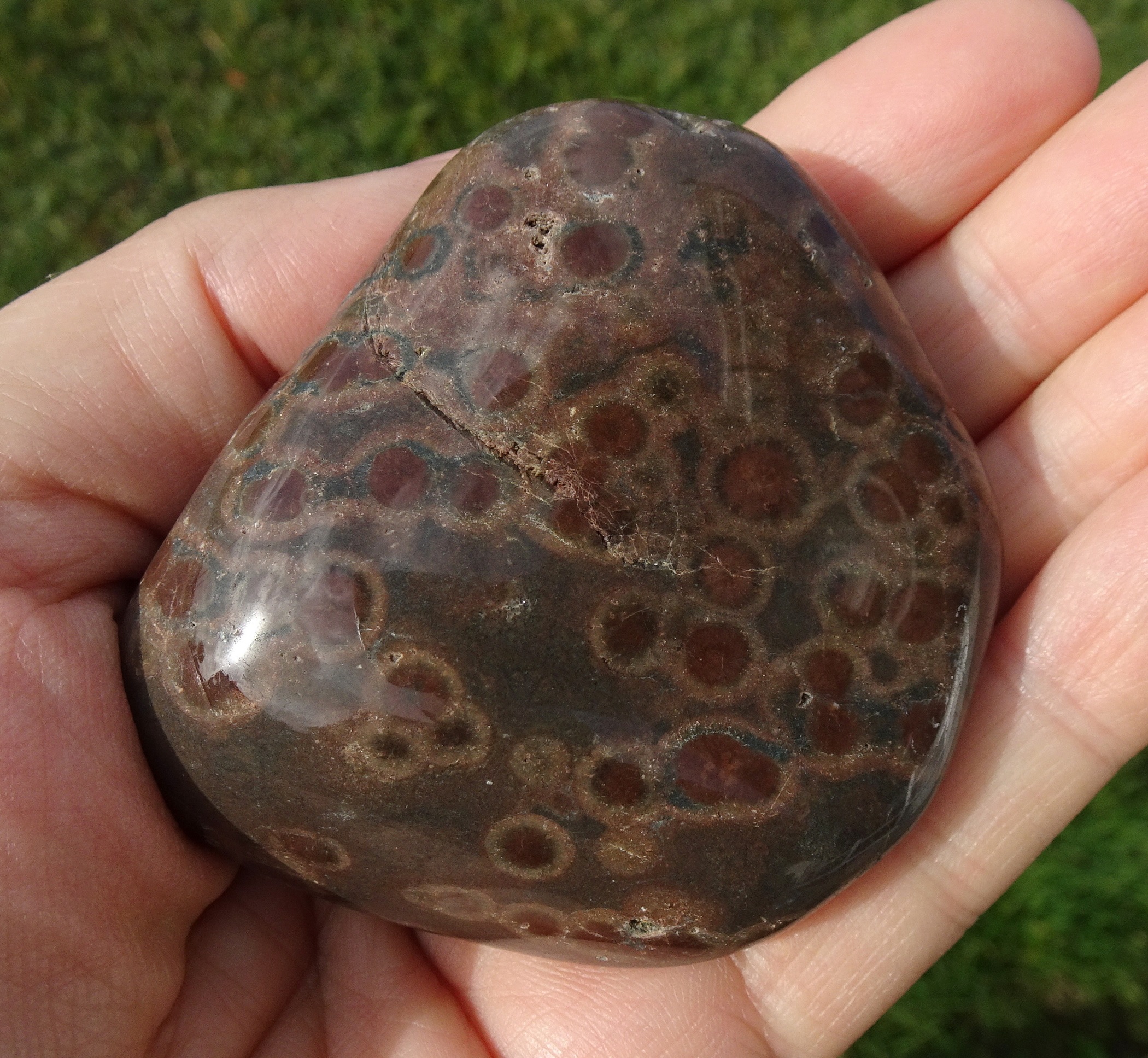 Stone 22.
