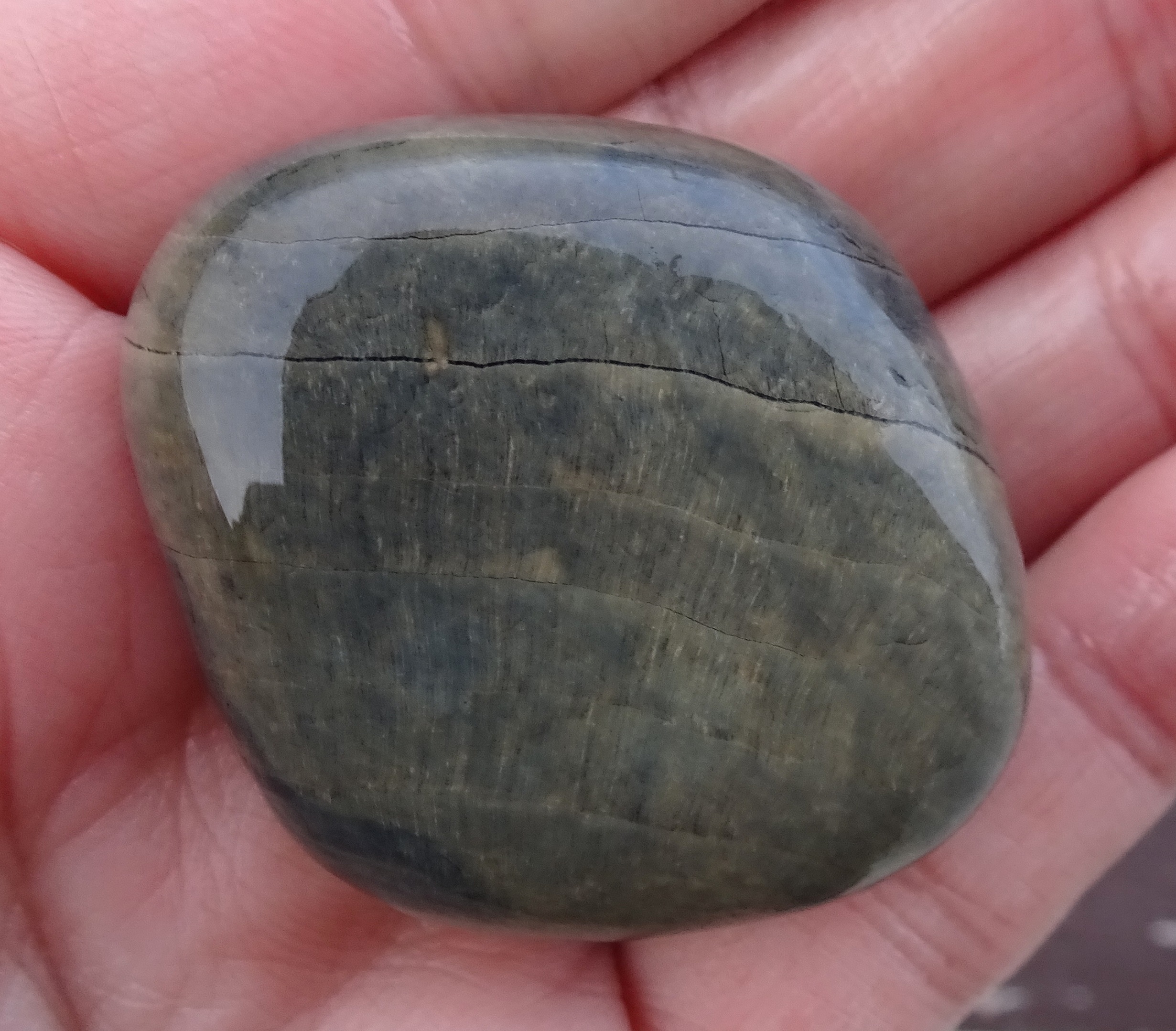 Petrified wood.