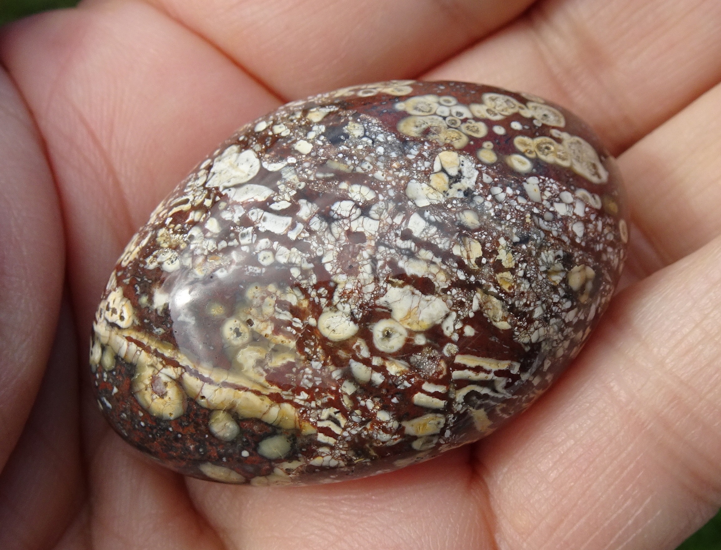 Stone 3, a complex, bright stone. Maybe a brecciated rhyolite.