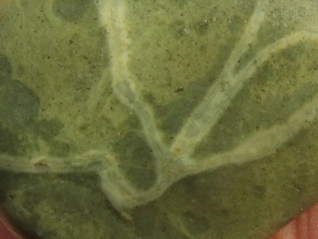 19zz