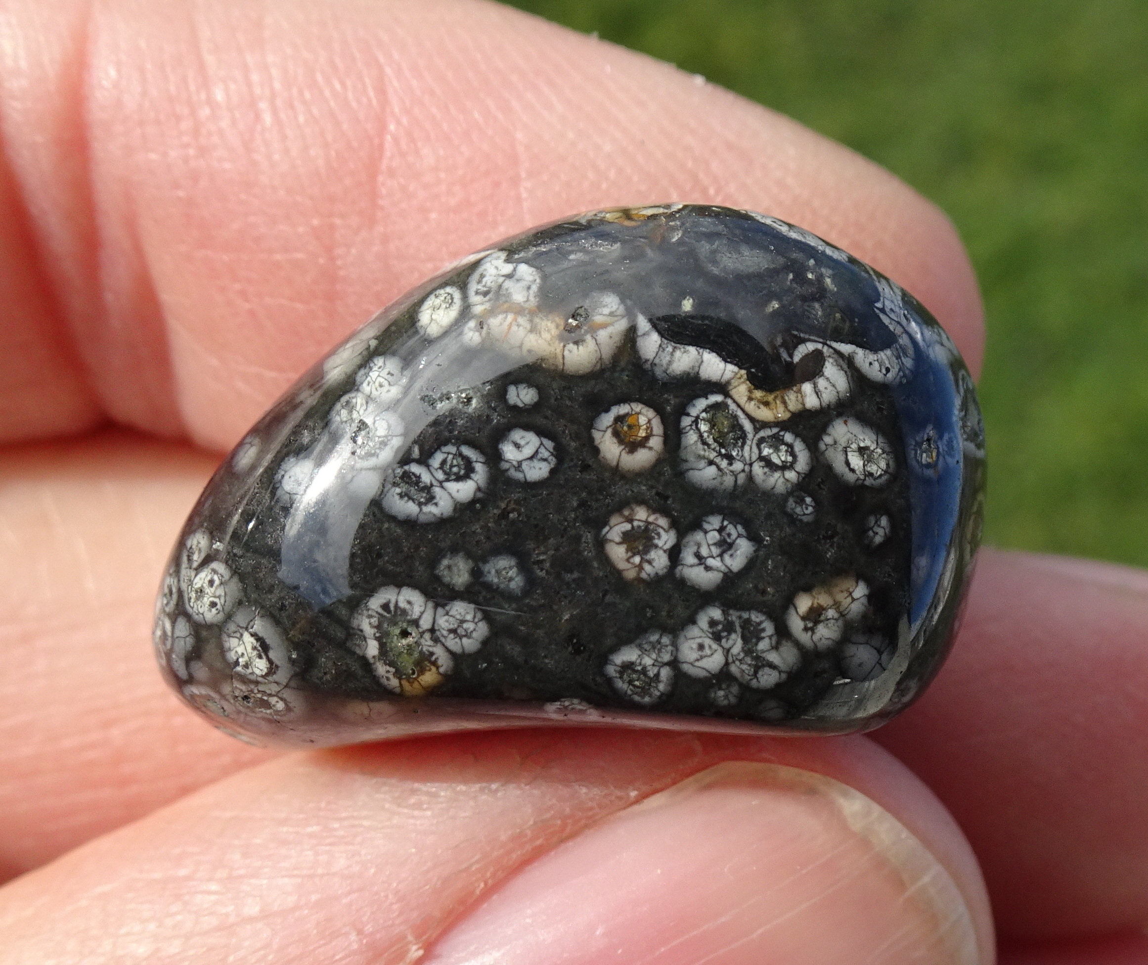 Stone 19.