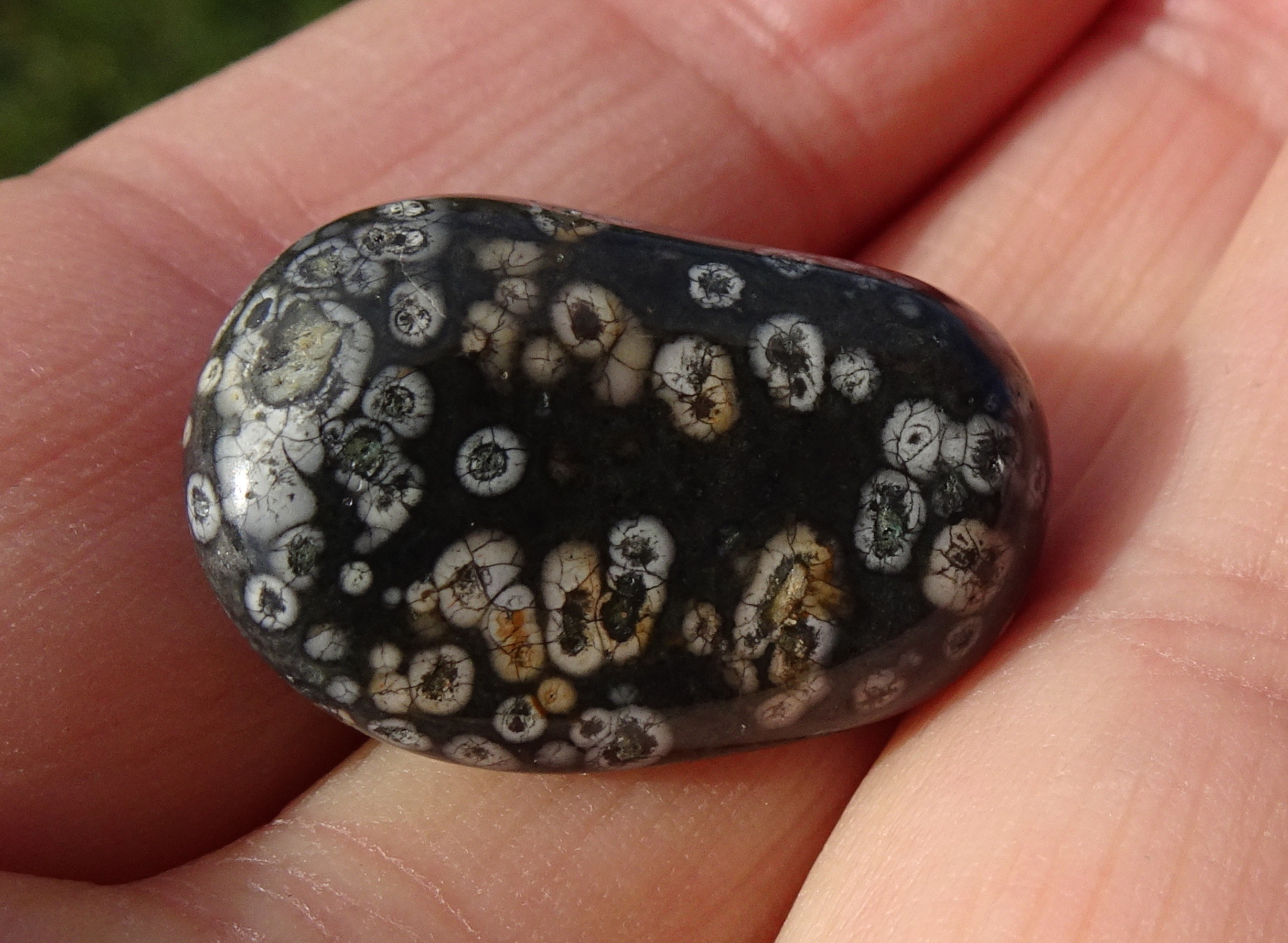Another side of Stone 19.