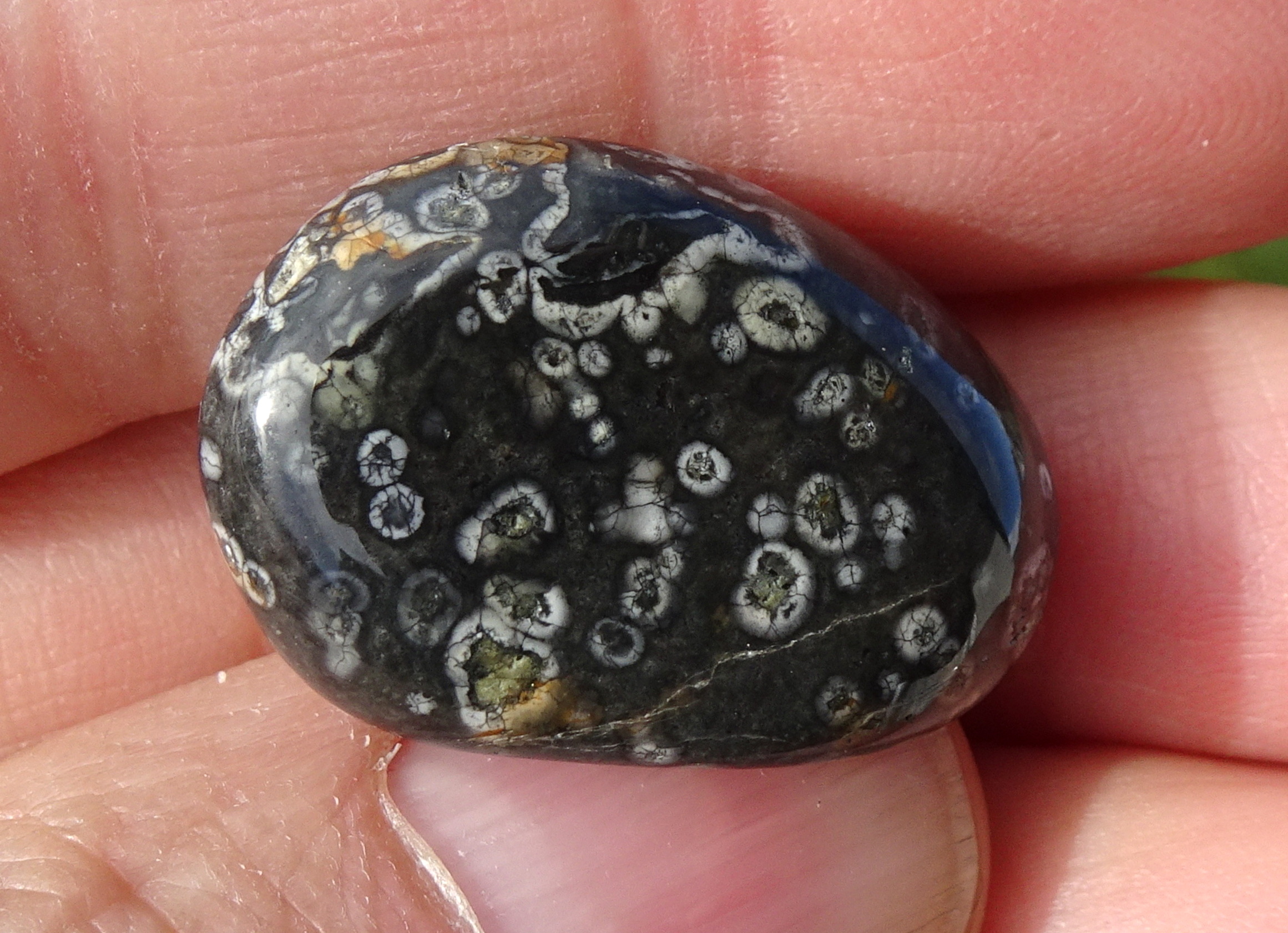 Stone 19 again.
