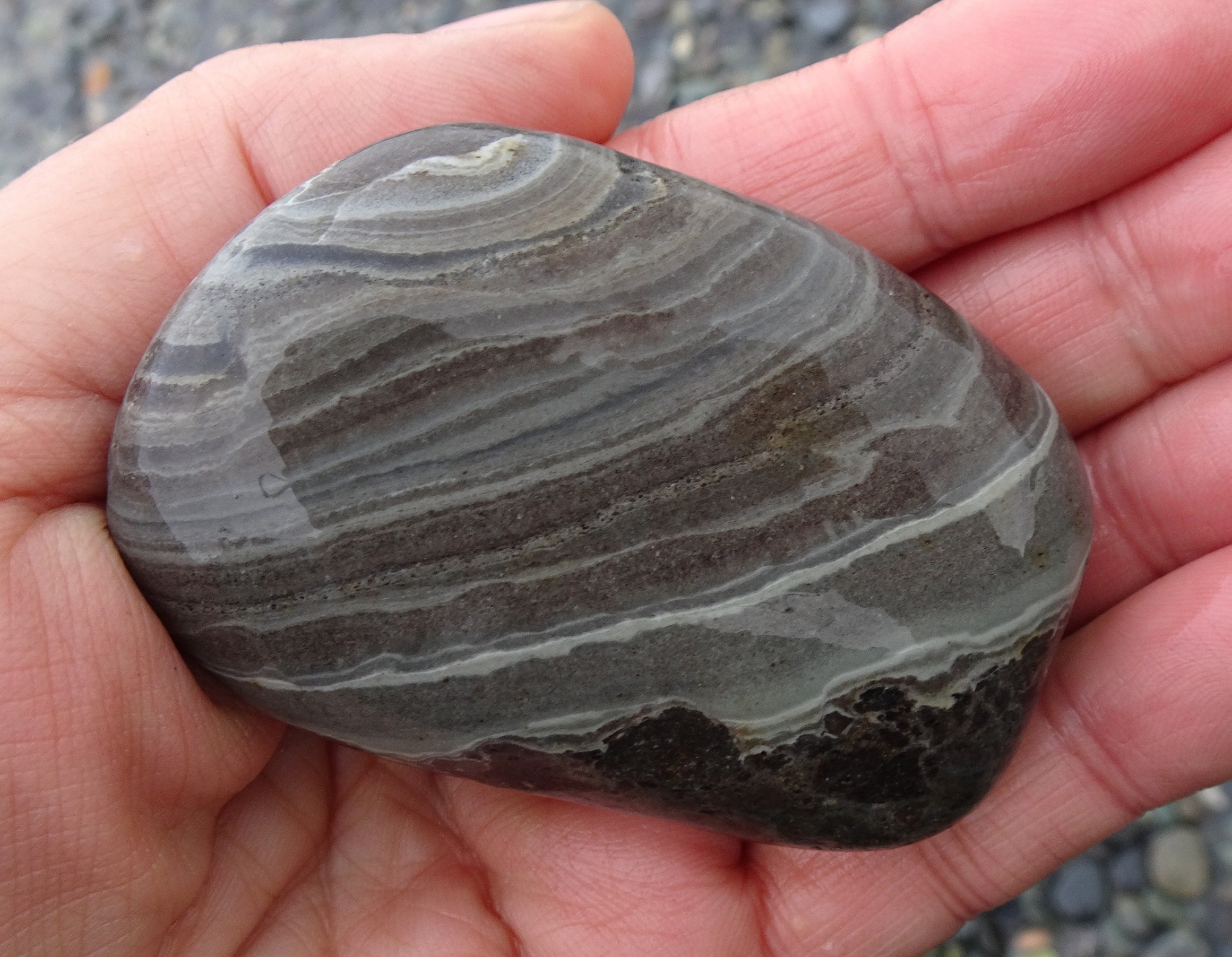 Another banded argillite.