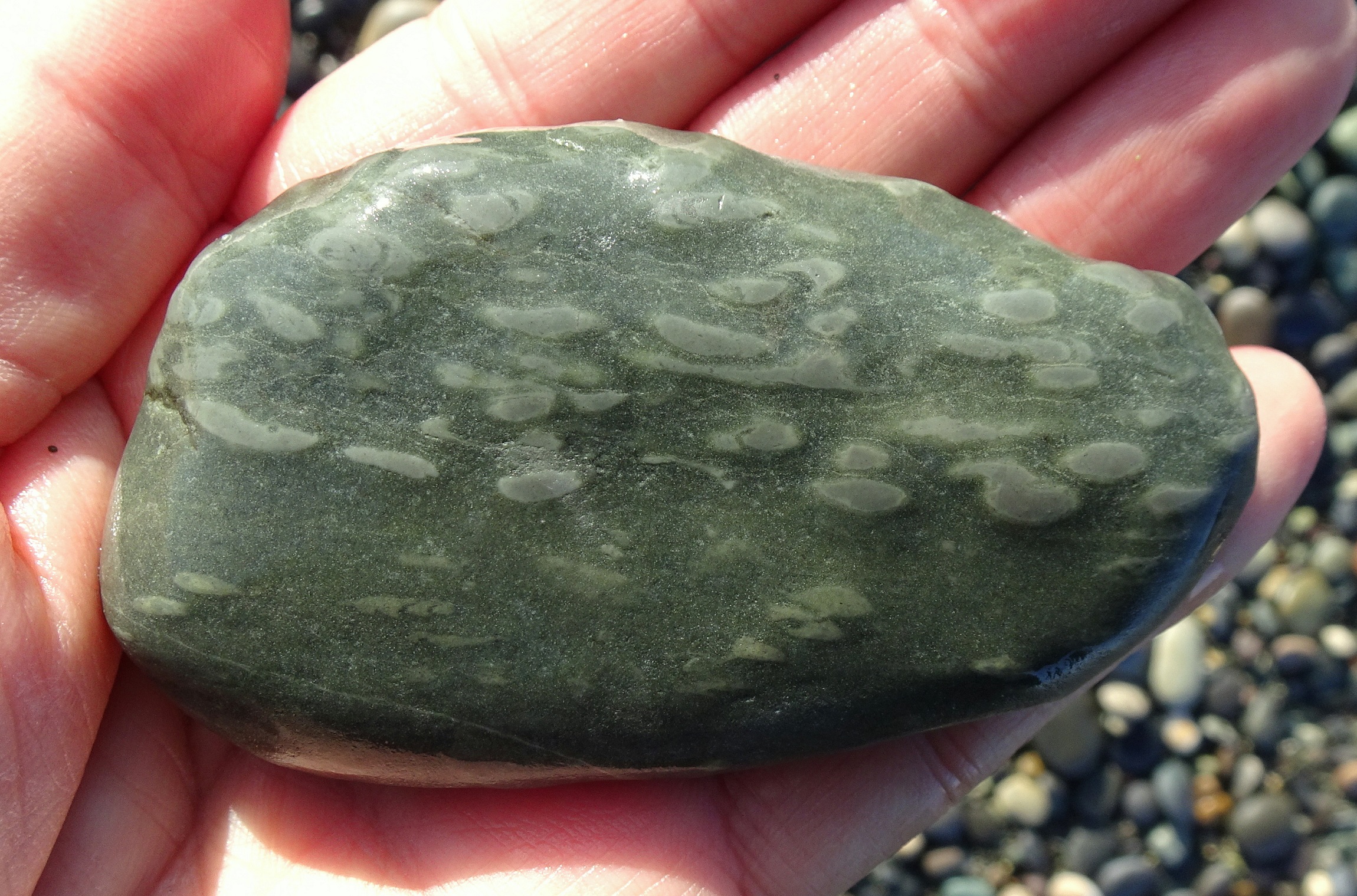 A larger trace fossil stone.