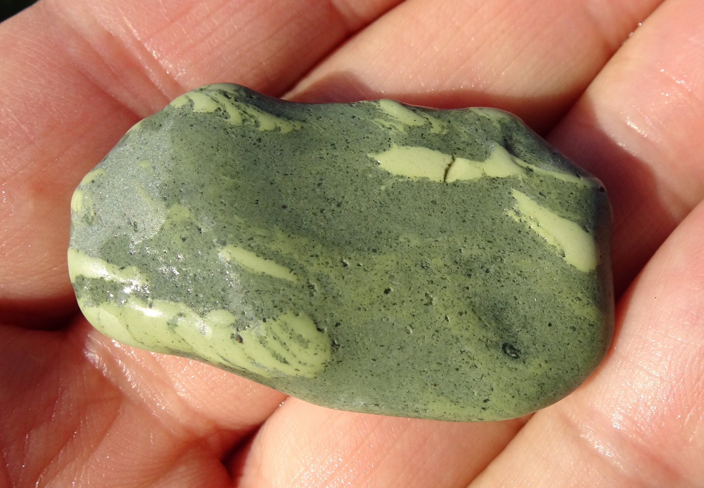 The trace fossil stone given to me by Aaron.