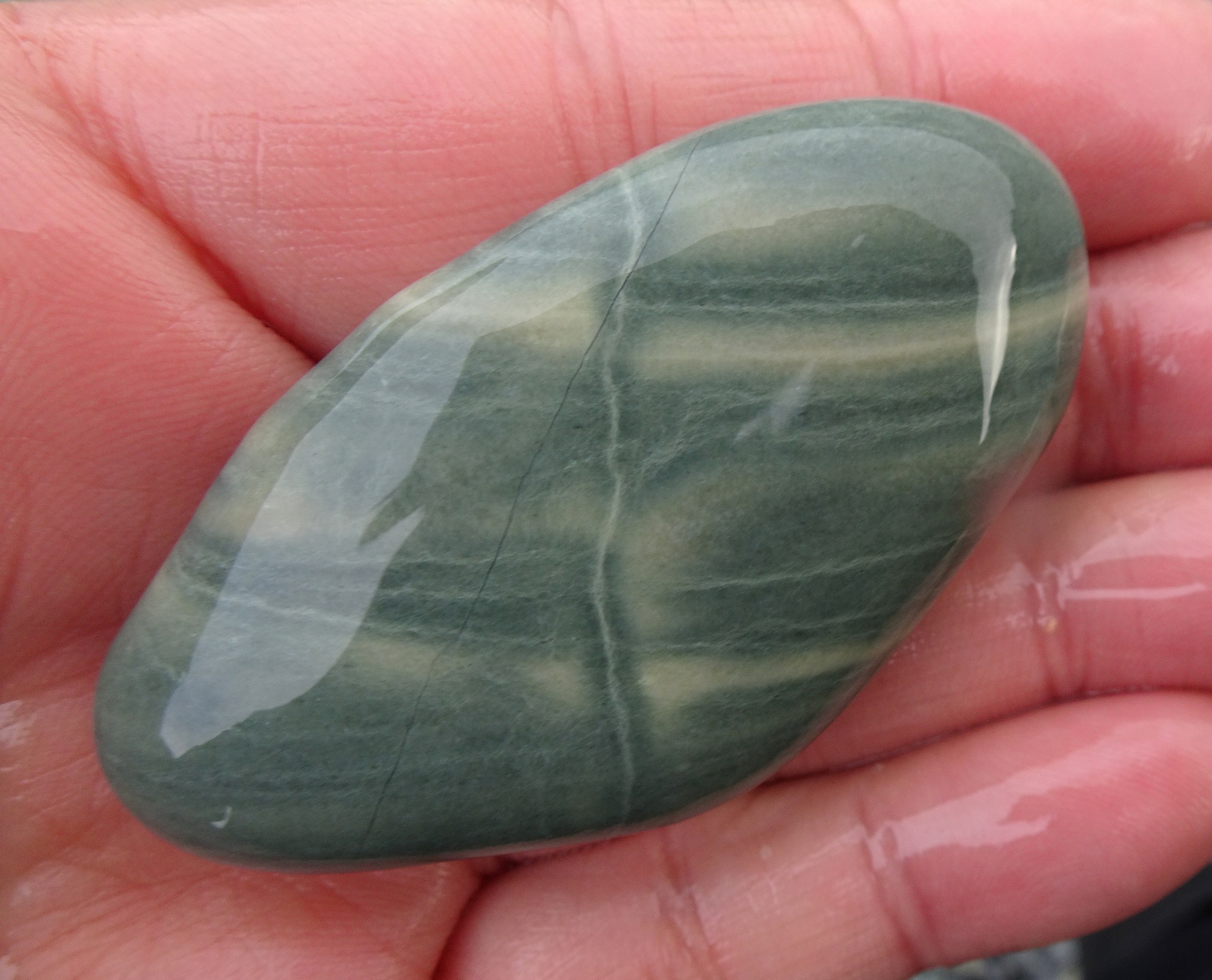 Probably argillite.