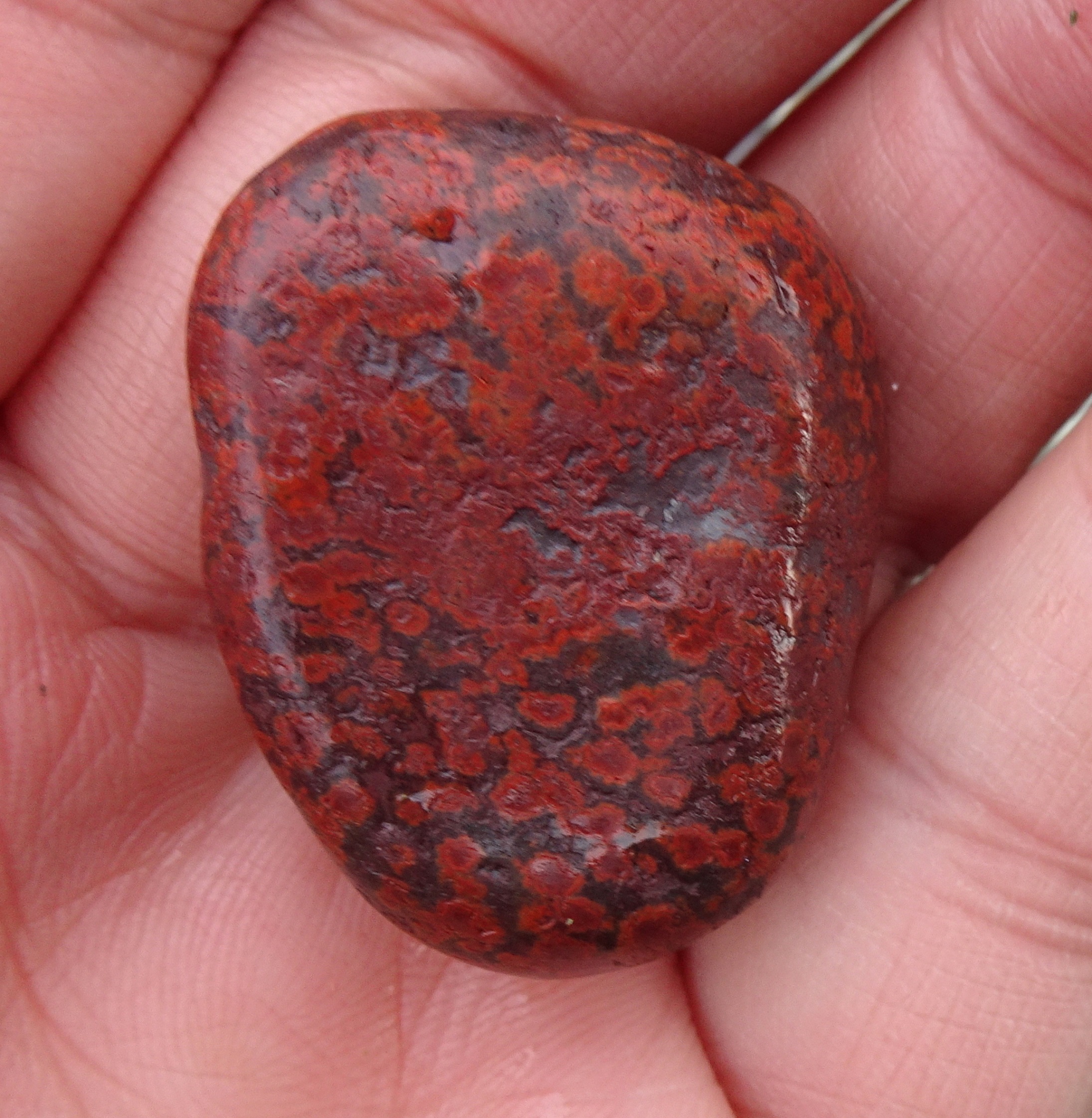 Another small jasper.