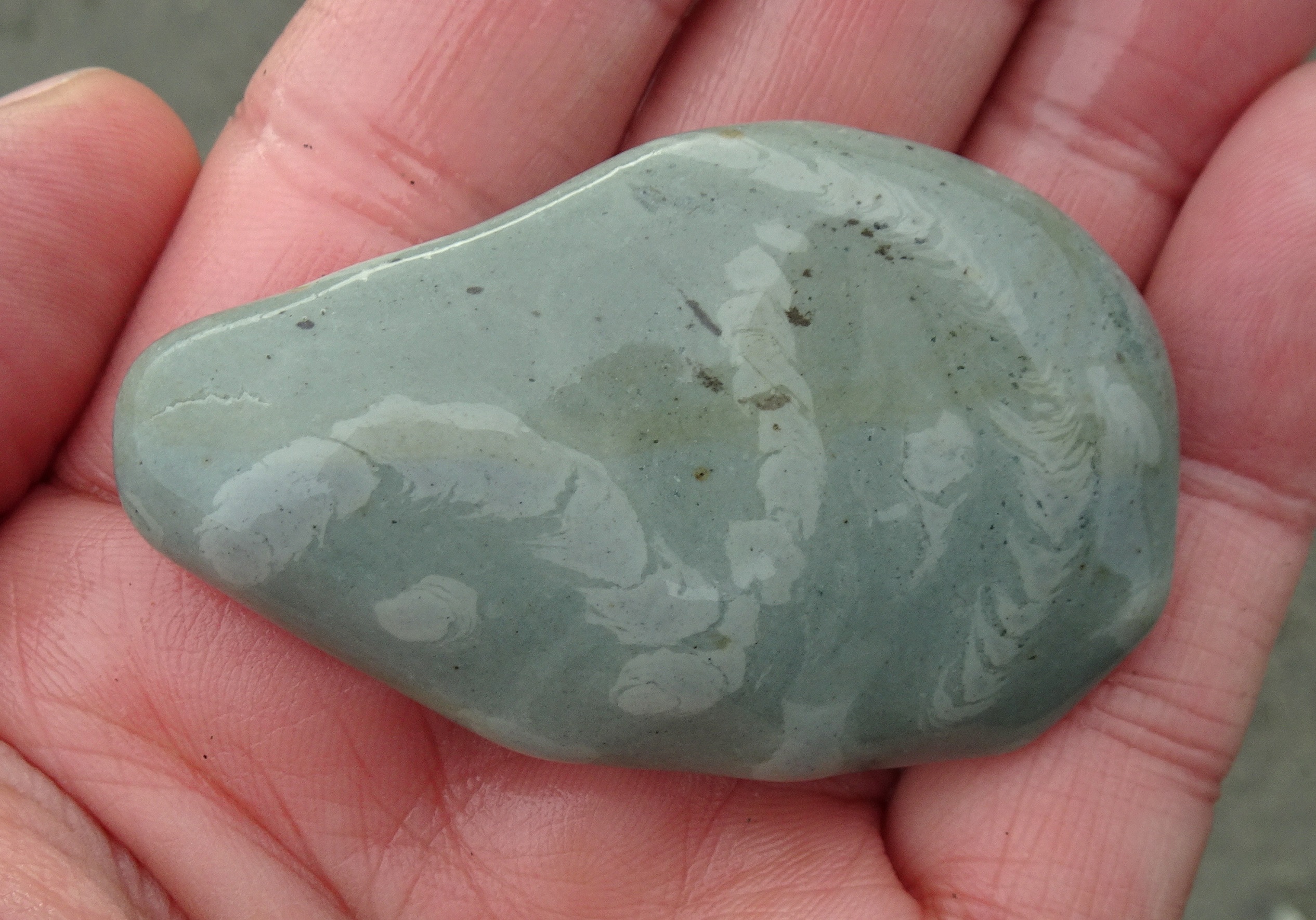 Trace fossil stone.