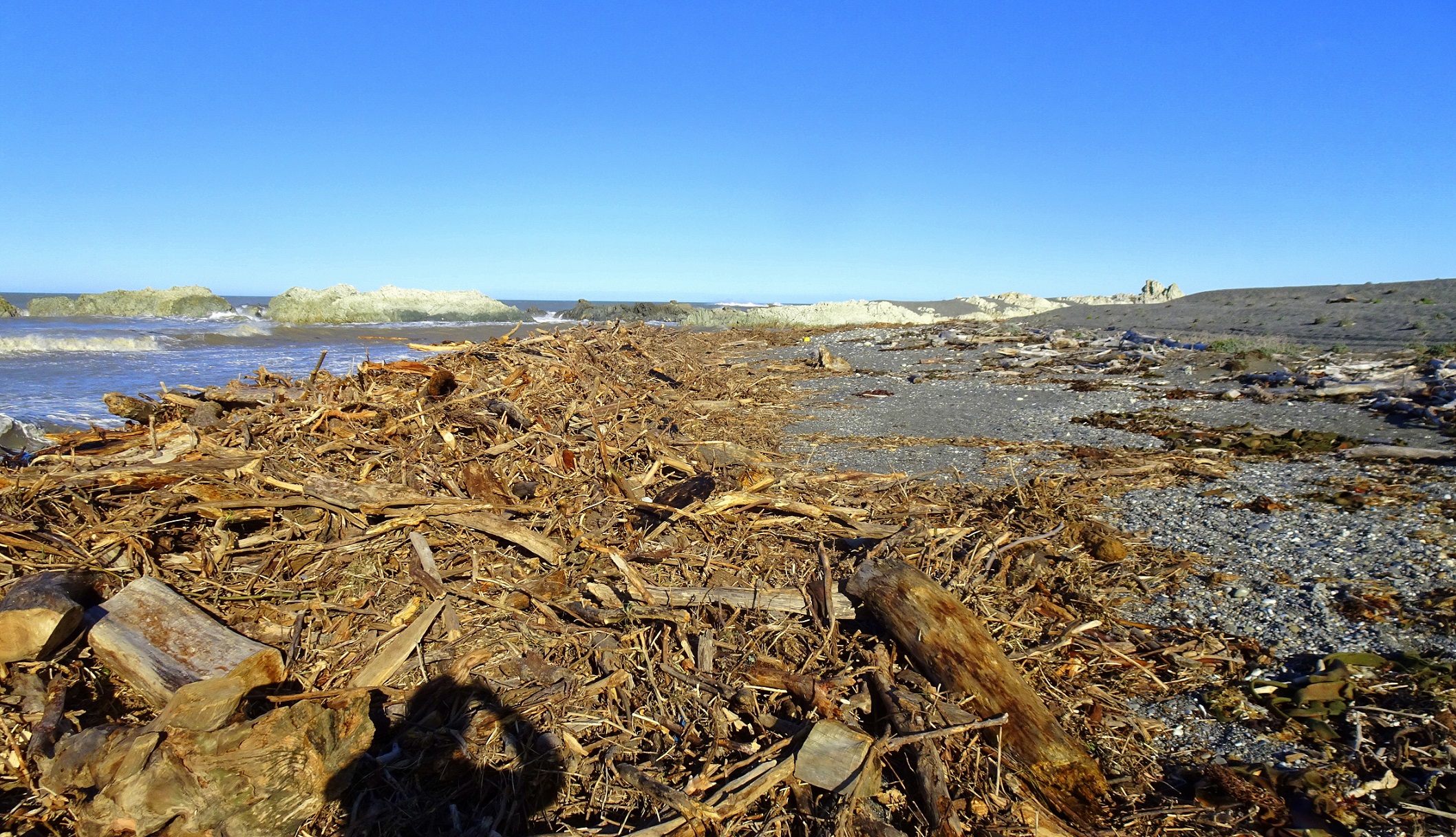 Ward Beach today.