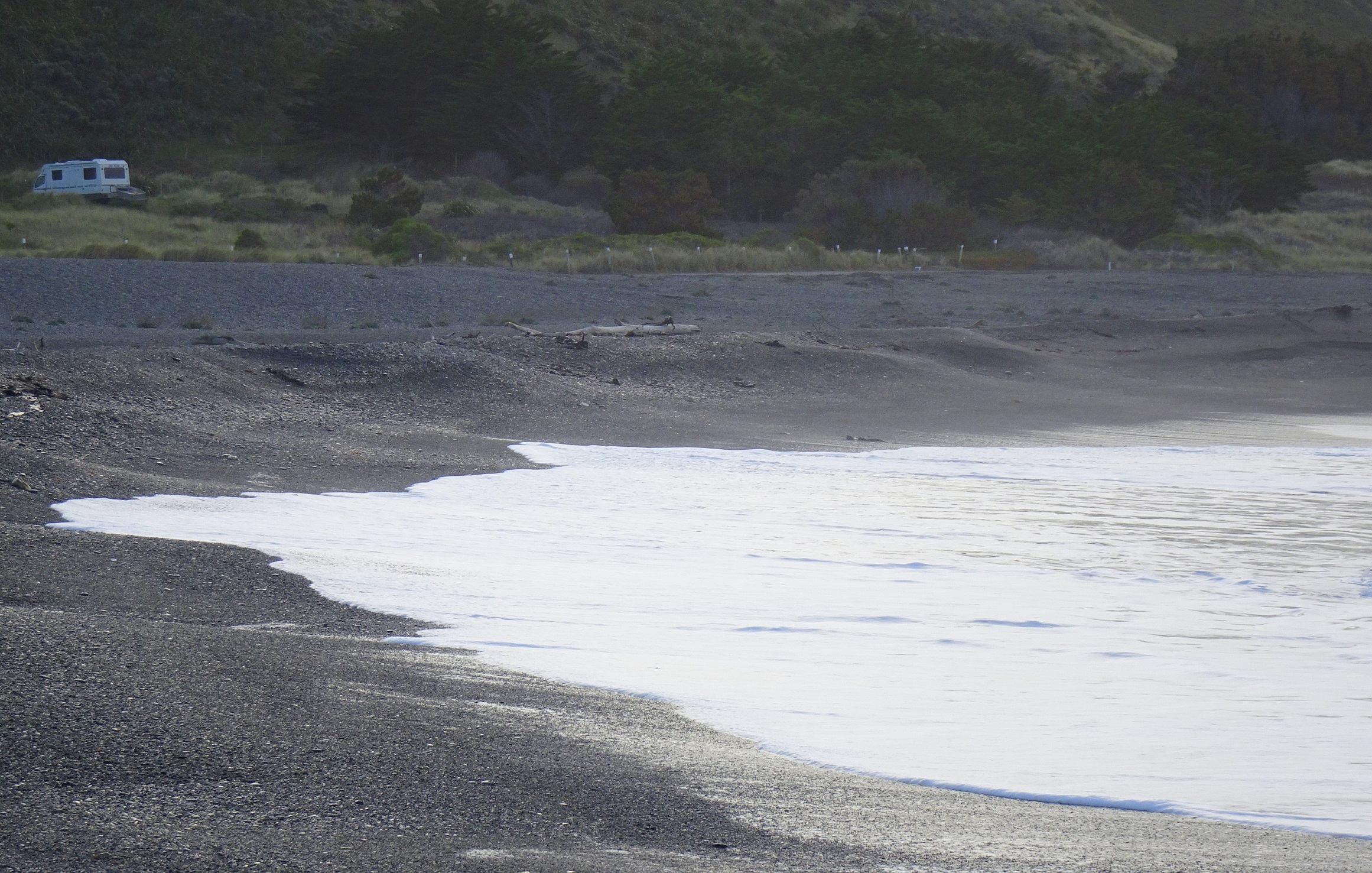 Ward Beach four weeks ago.