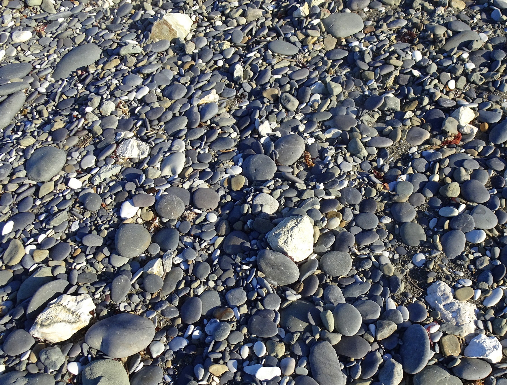 Dry Ward Beach stones.