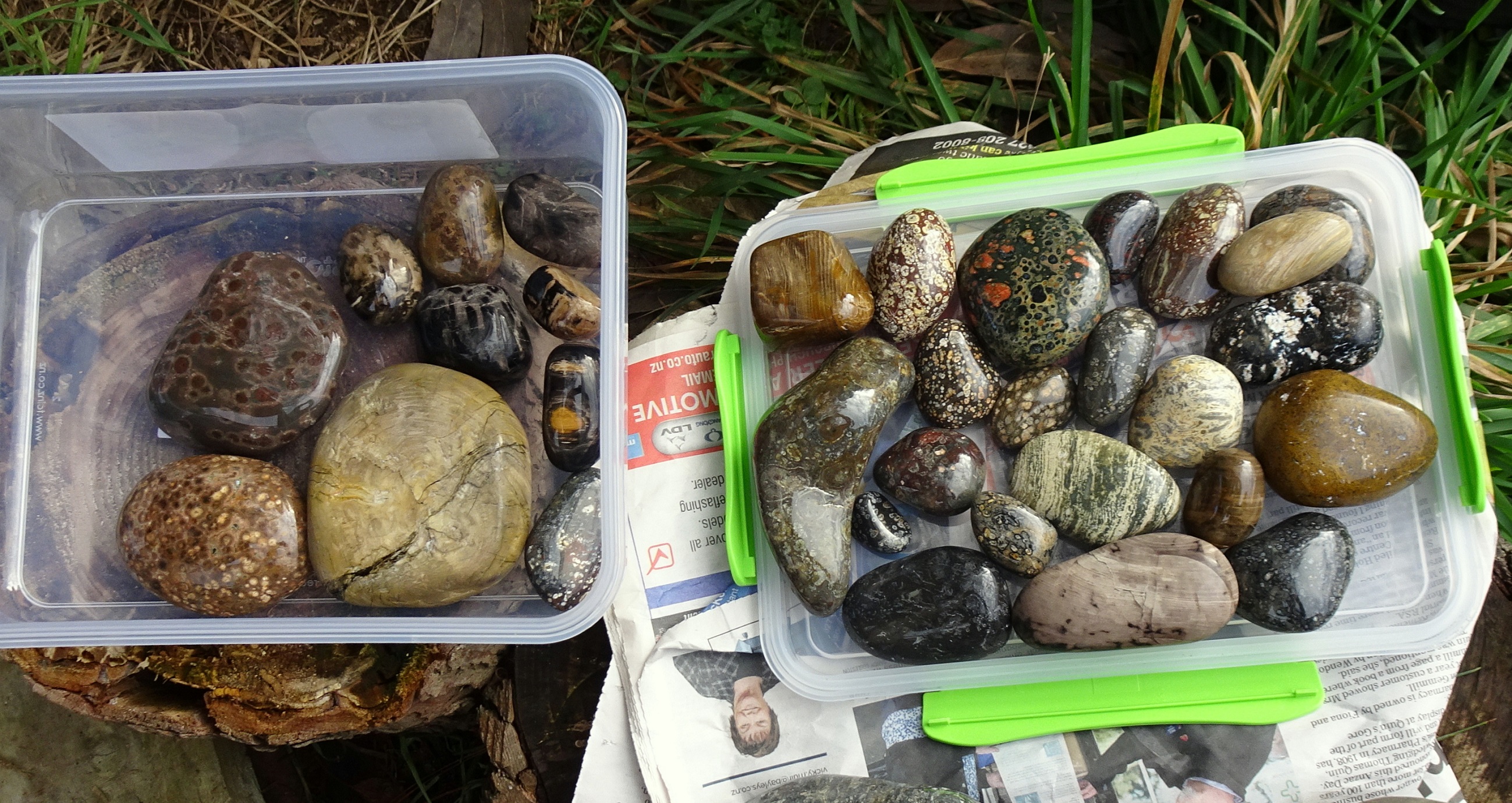 The Slope Point stones I had tumble-polished for Oliver.