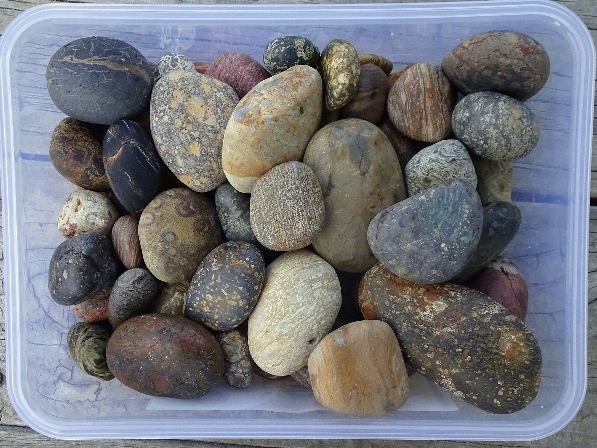 Oliver gave me these stones he had collected since I last saw him in March. I will take them back to Whanganui to tumble-polish.