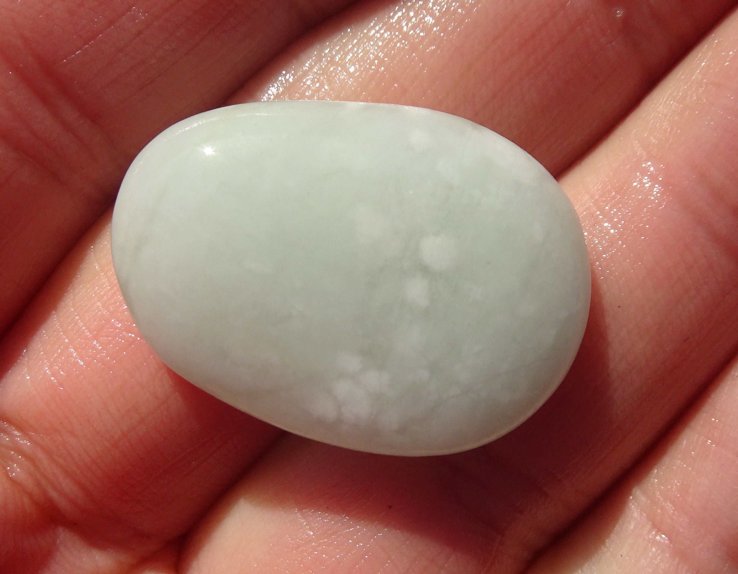 Small hydrogrossular garnet.