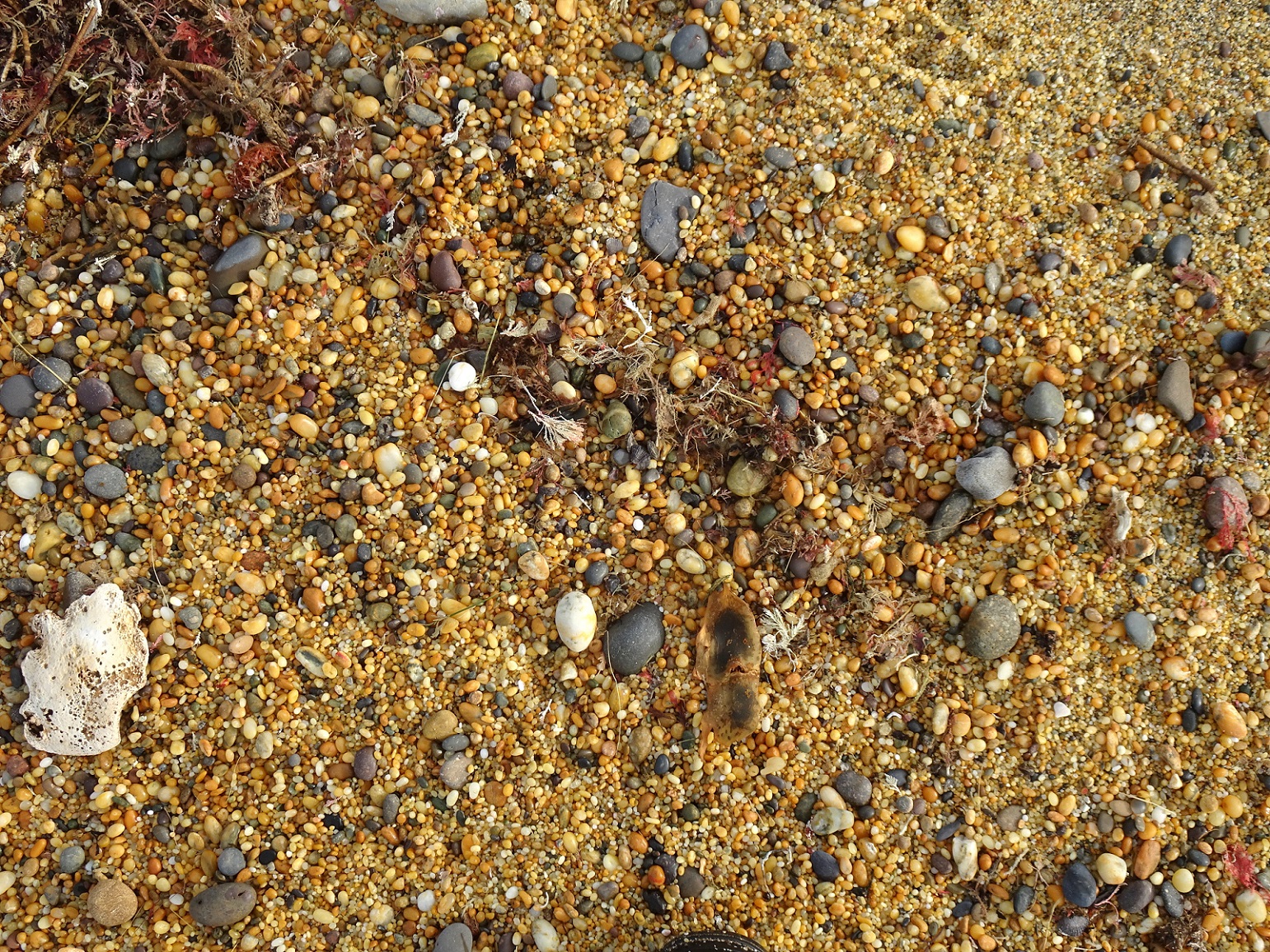 At the high tide mark, a few scattered pebbles.