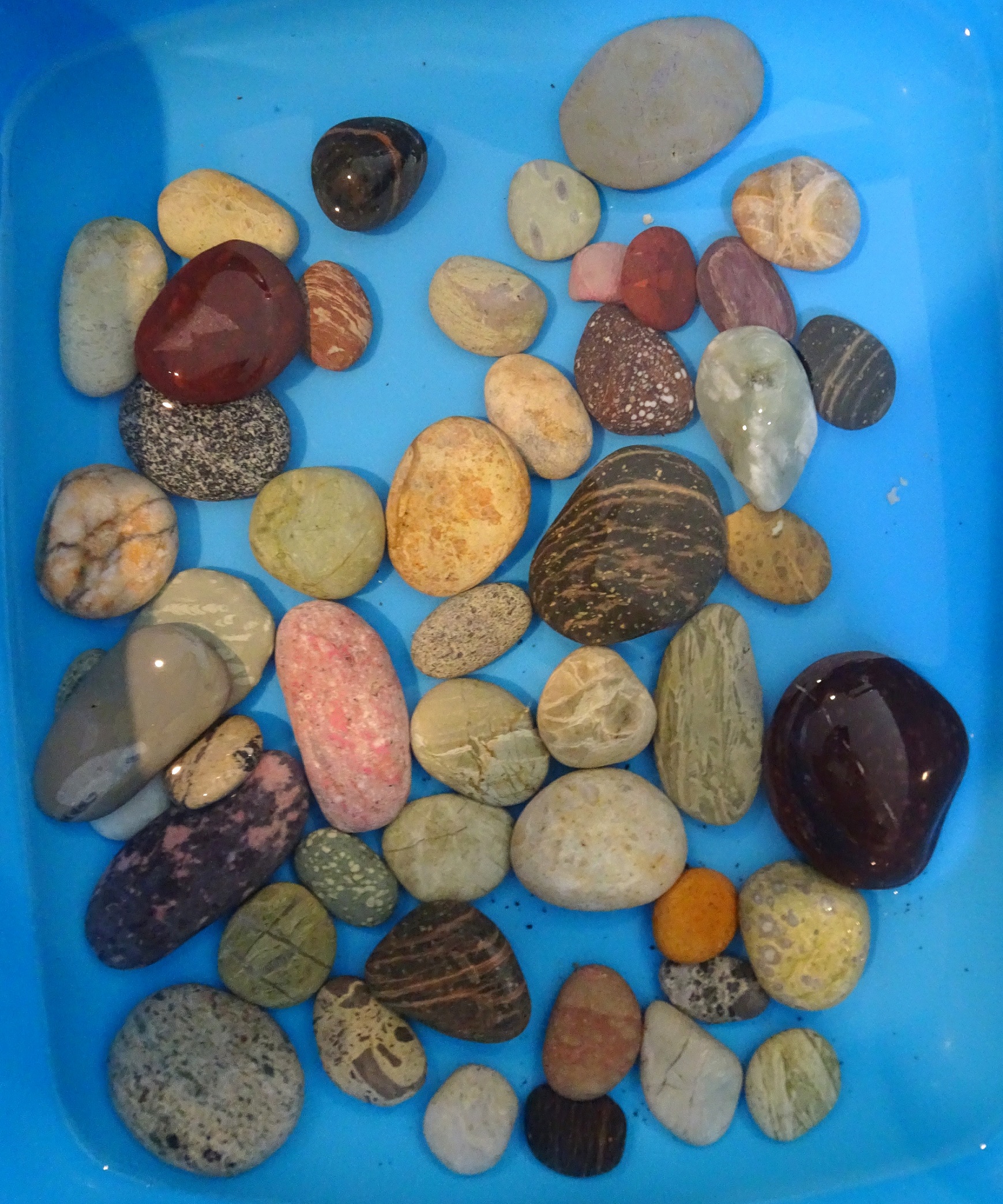 The 49 stones I collected from Gemstone Beach today.