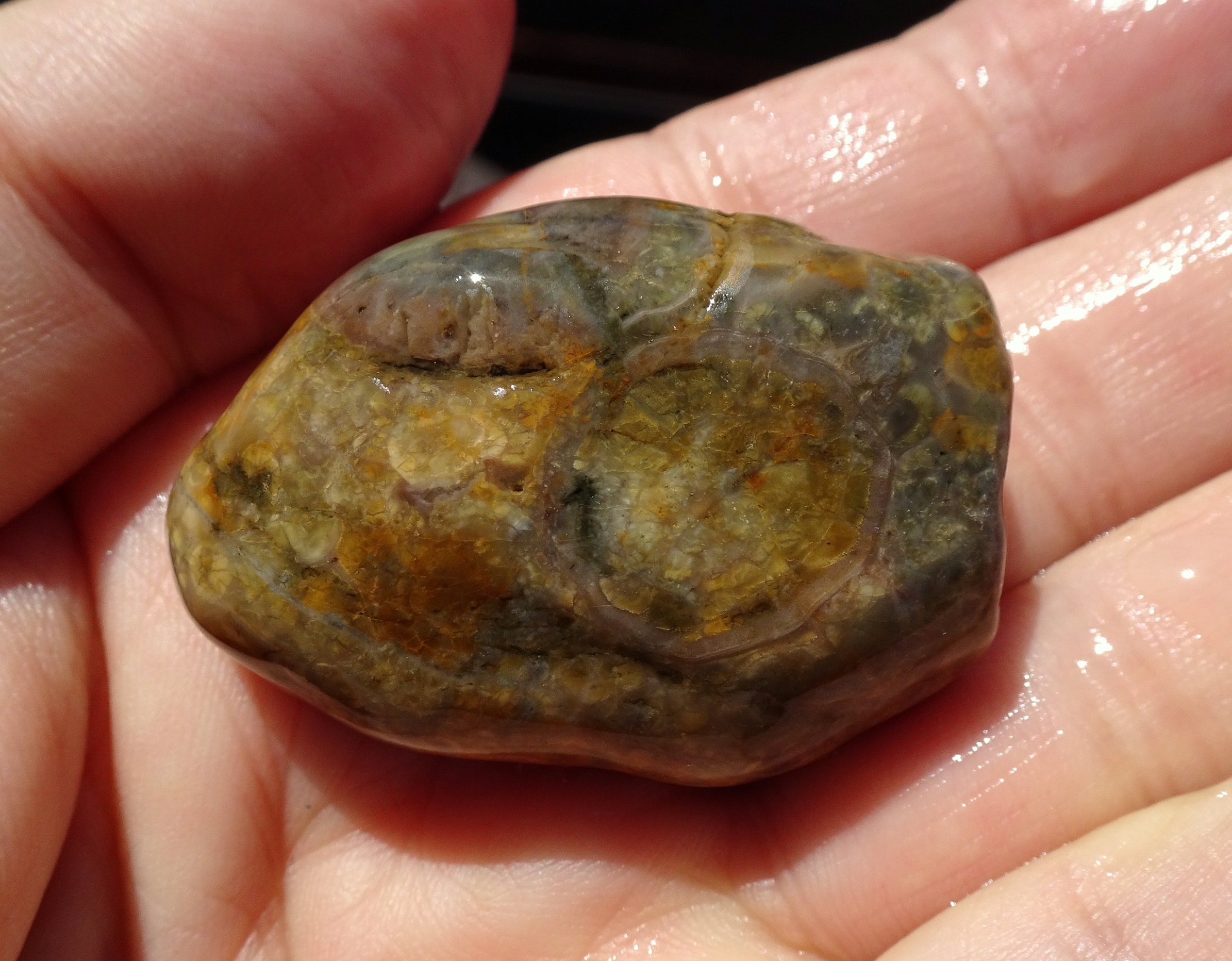 Seems to be a round-ish inclusion in this one. Stone is likely to be volcanic, so inclusion probably not a fossil.