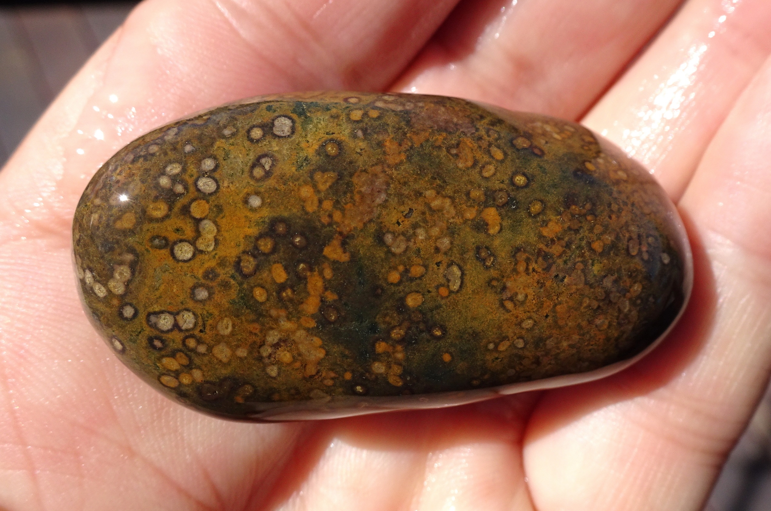 Orbs in rhyolite.