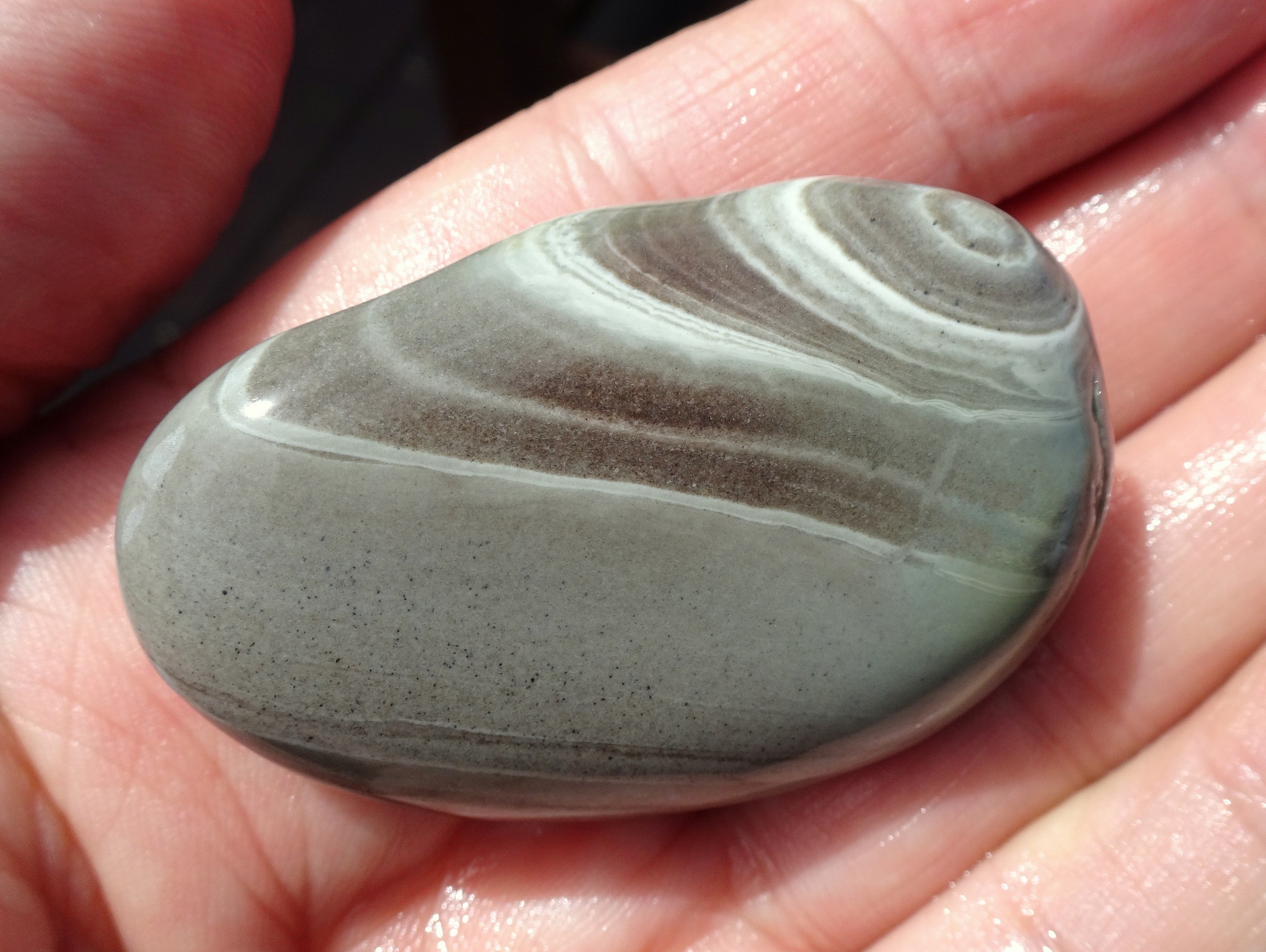 Banded argillite.