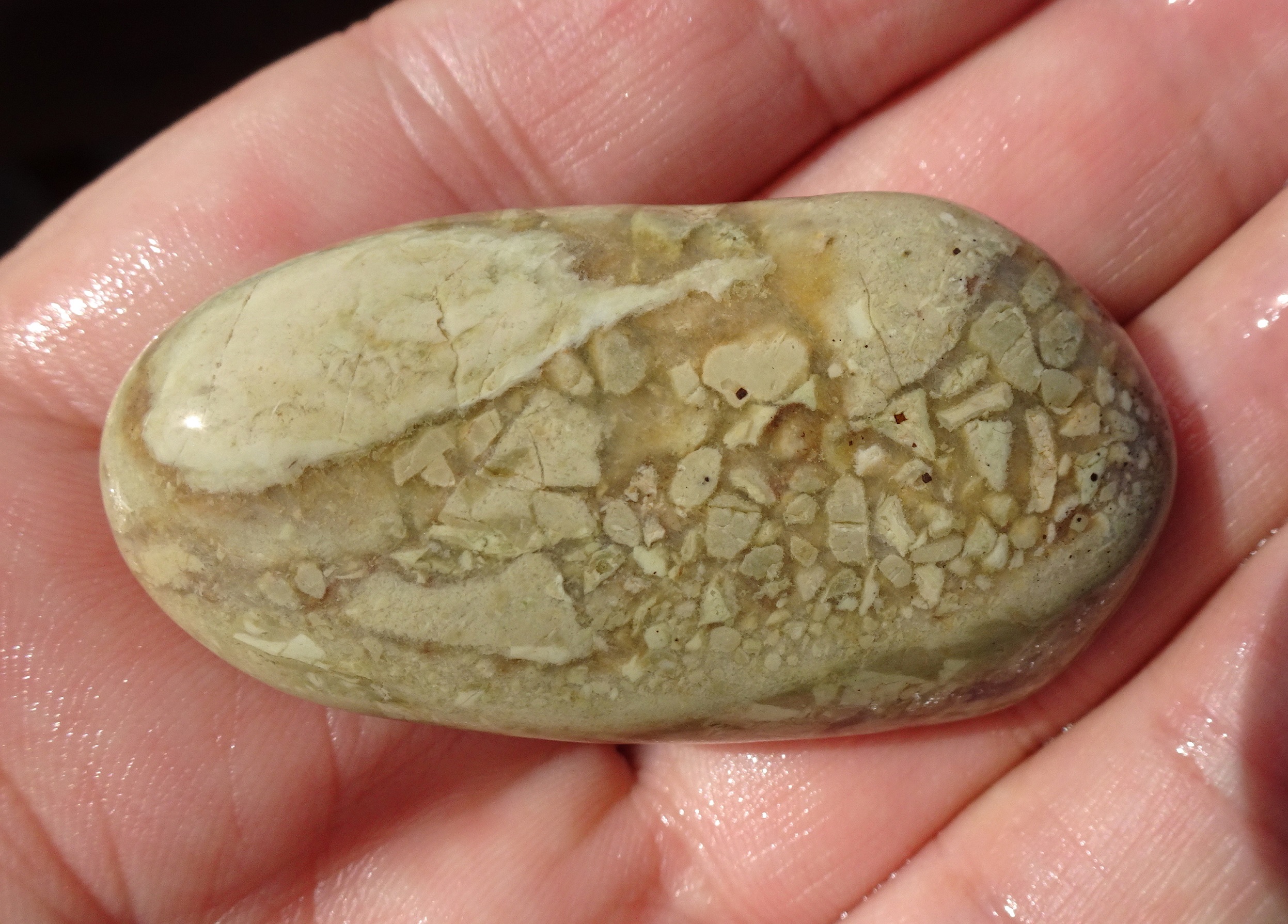 Brecciated Gemstone Beach stone.