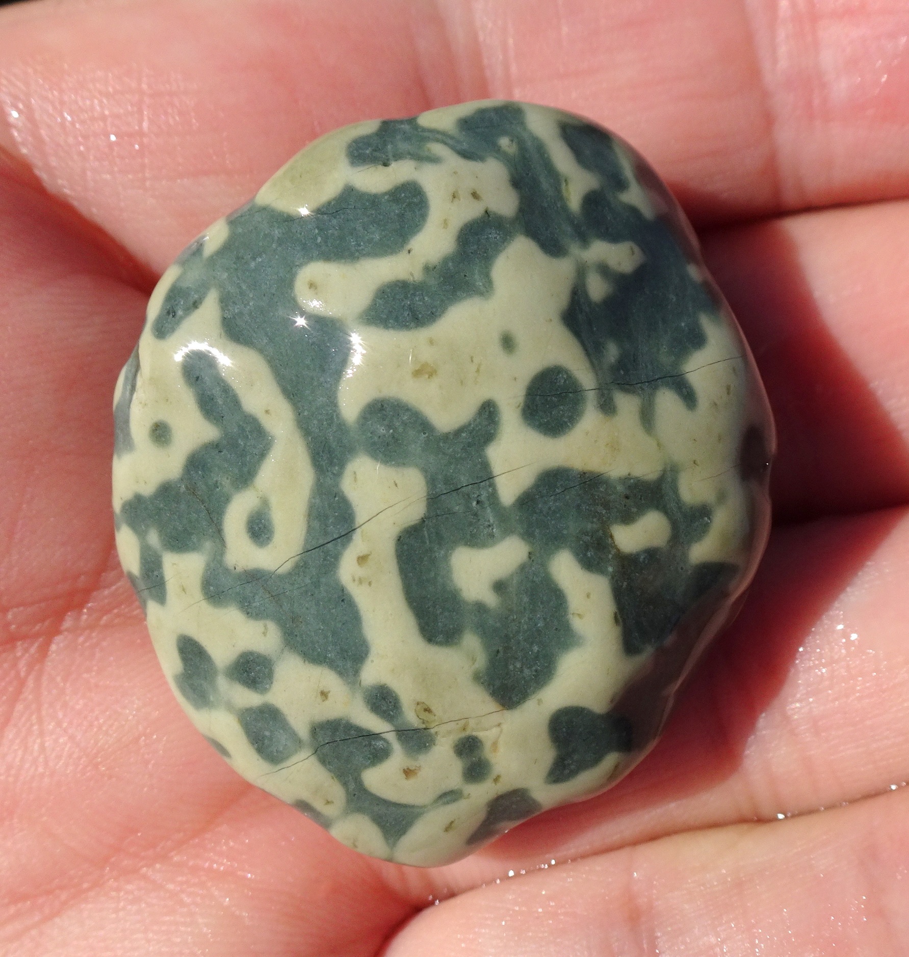 Maybe a kind of argillite.