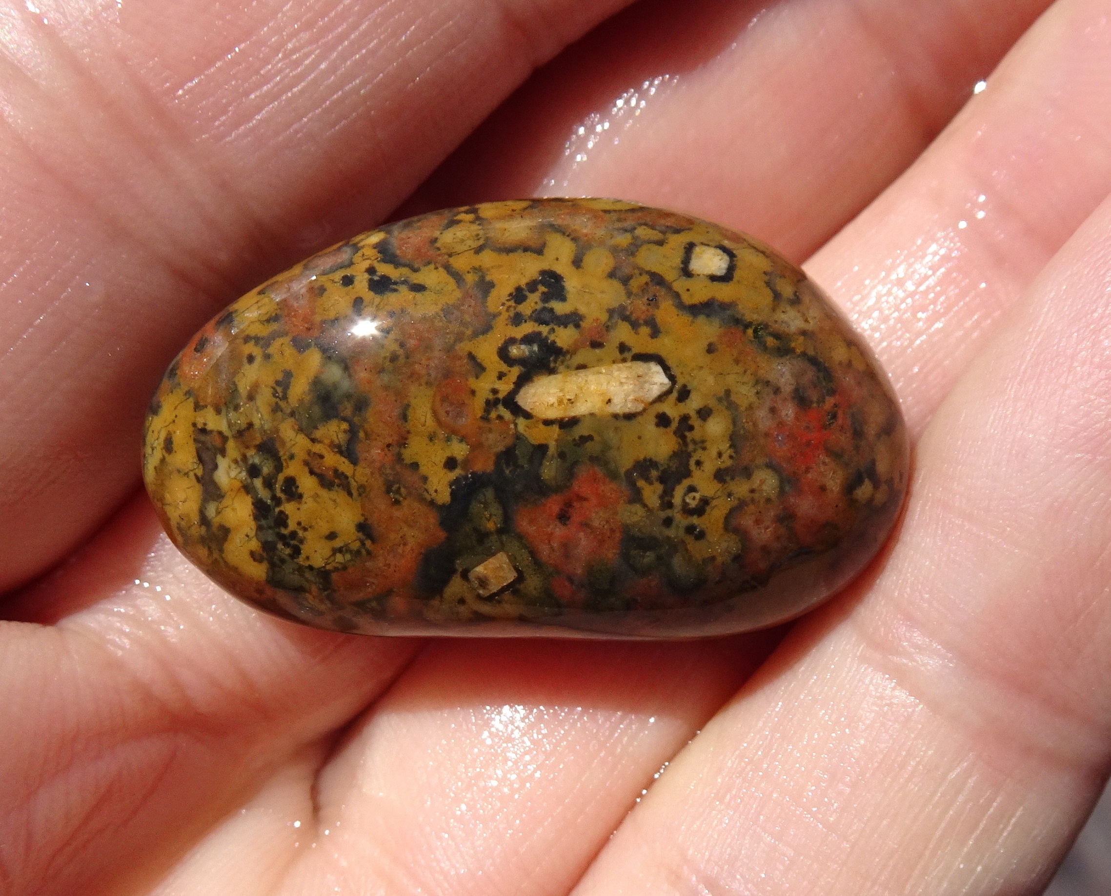 Small rhyolite, a little larger than a jellybean.