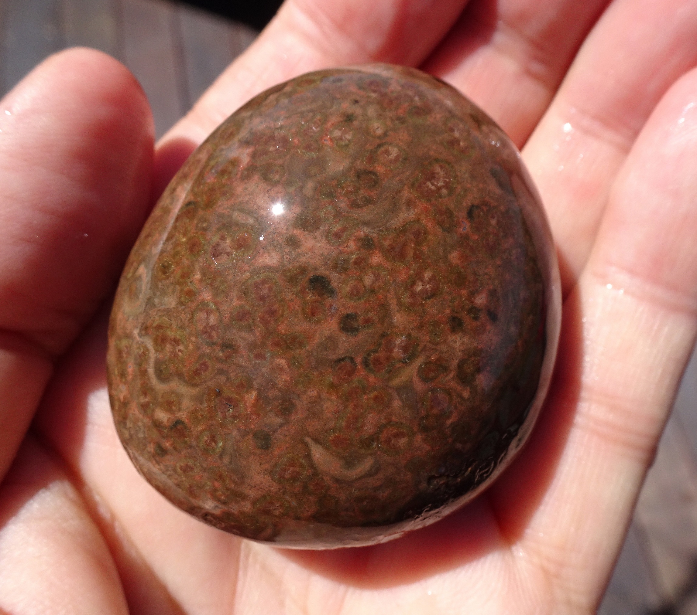 Probably orbicular rhyolite.