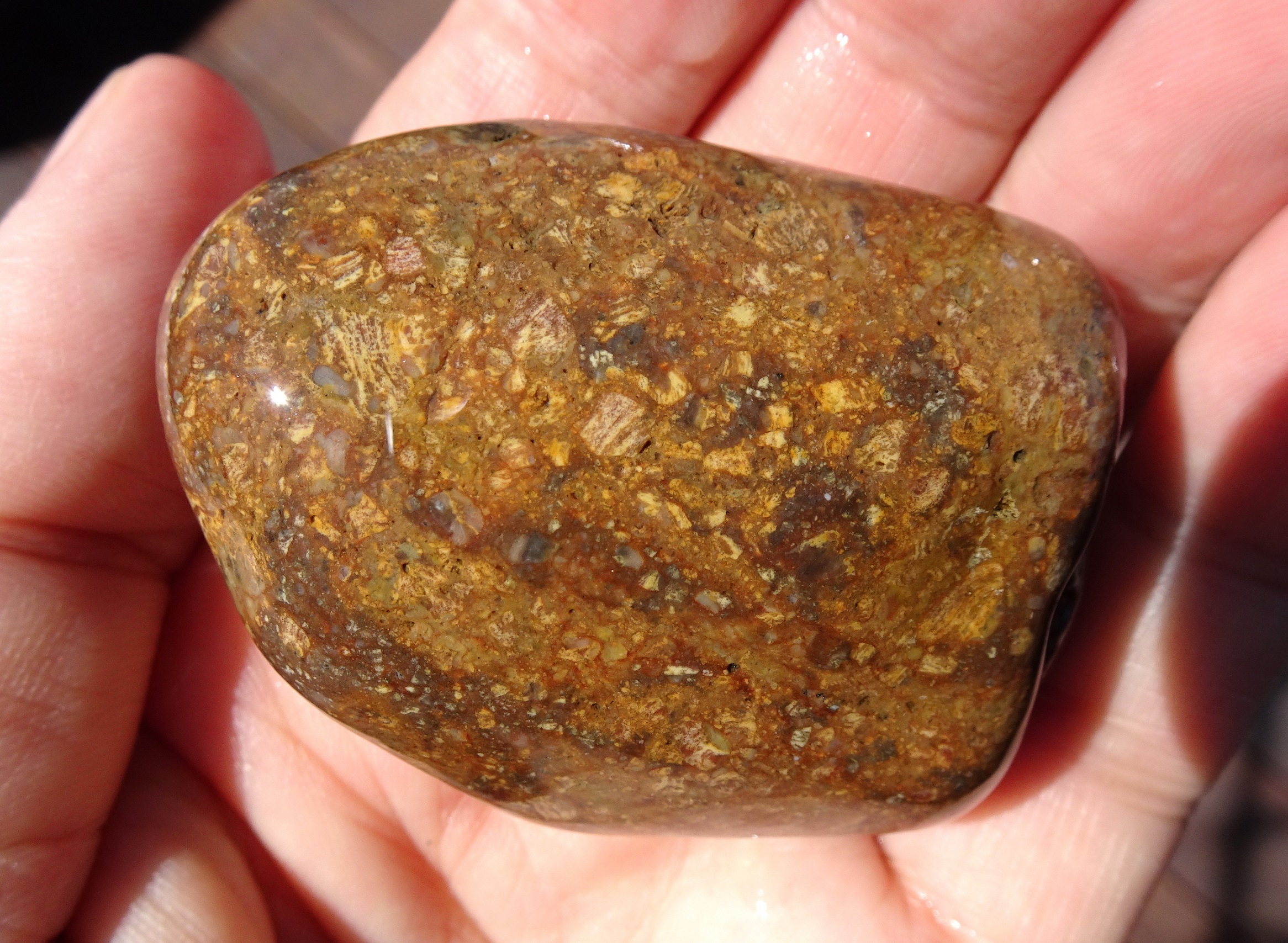 Brecciated volcanic stone?