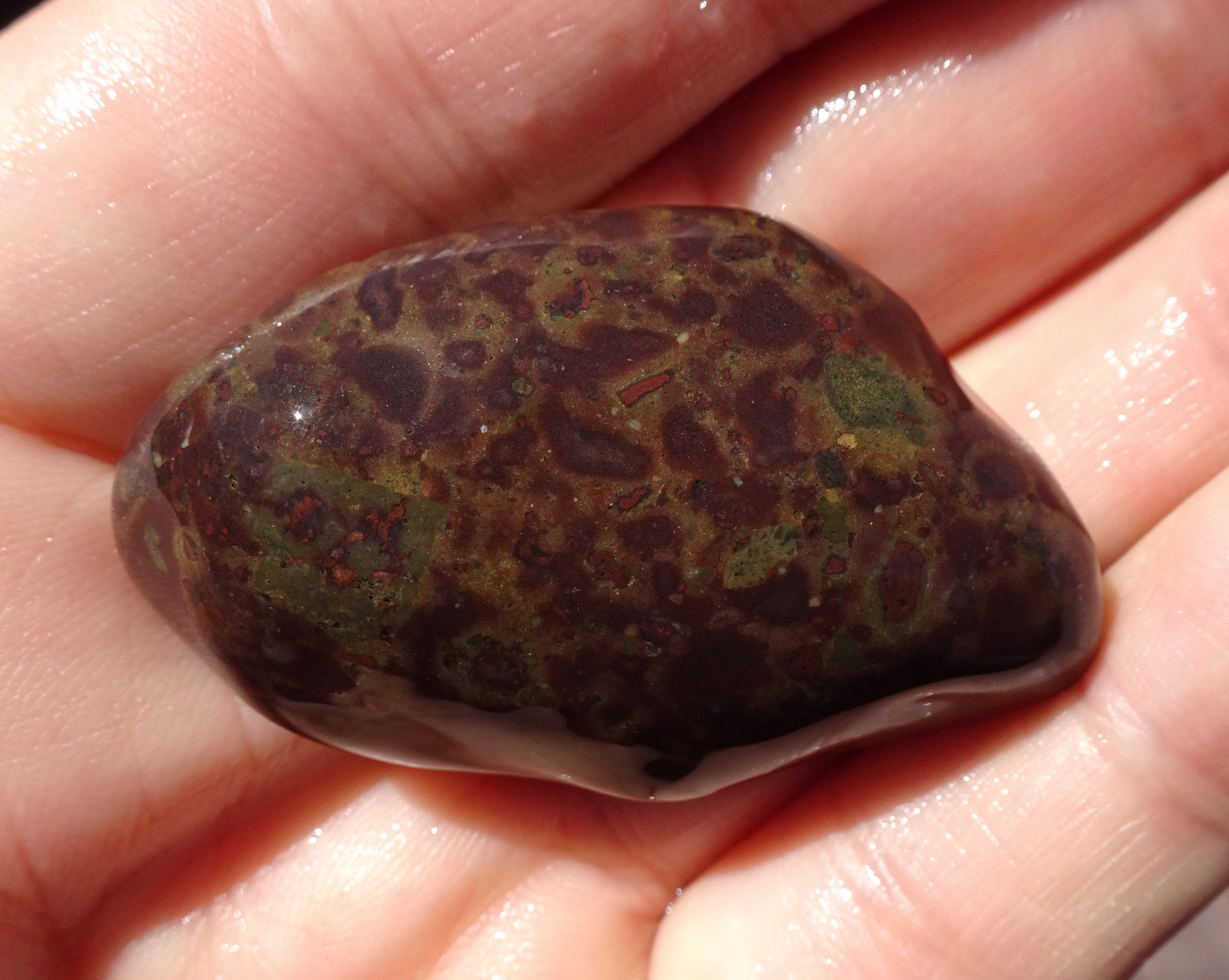 Brecciated volcanic stone?