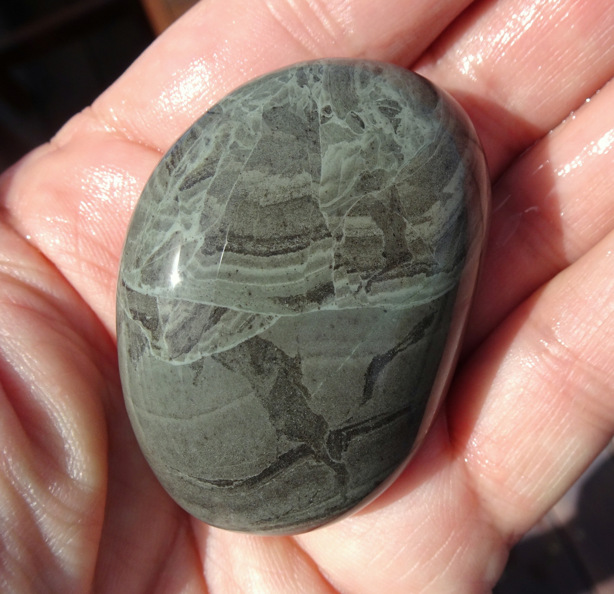 Munted banded argillite.