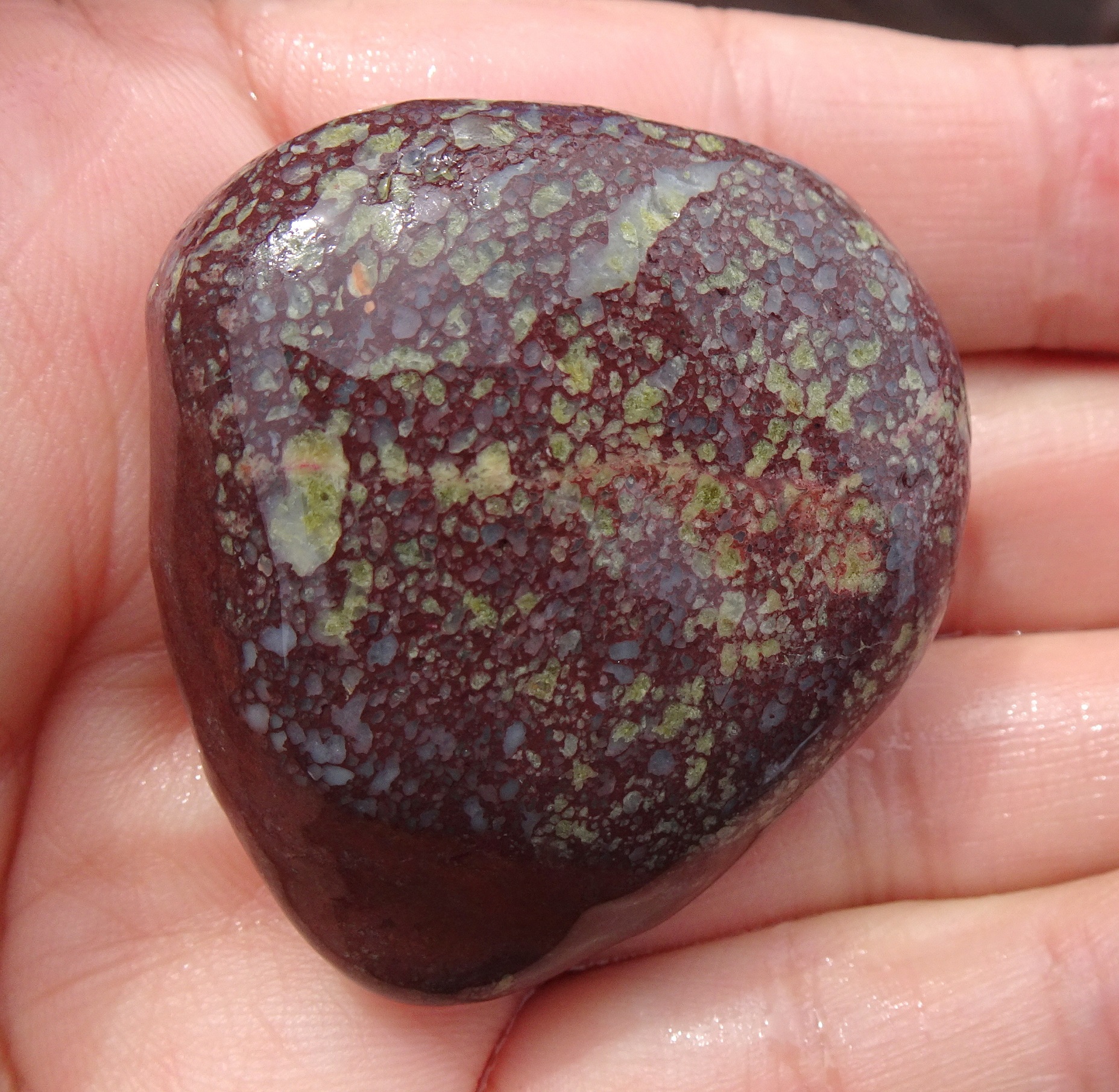 Probably amygdaloidal - small vesicles in a volcanic stone in-filled after hot water as flowed by. Alternatively, these (or some of these) could be crystals.