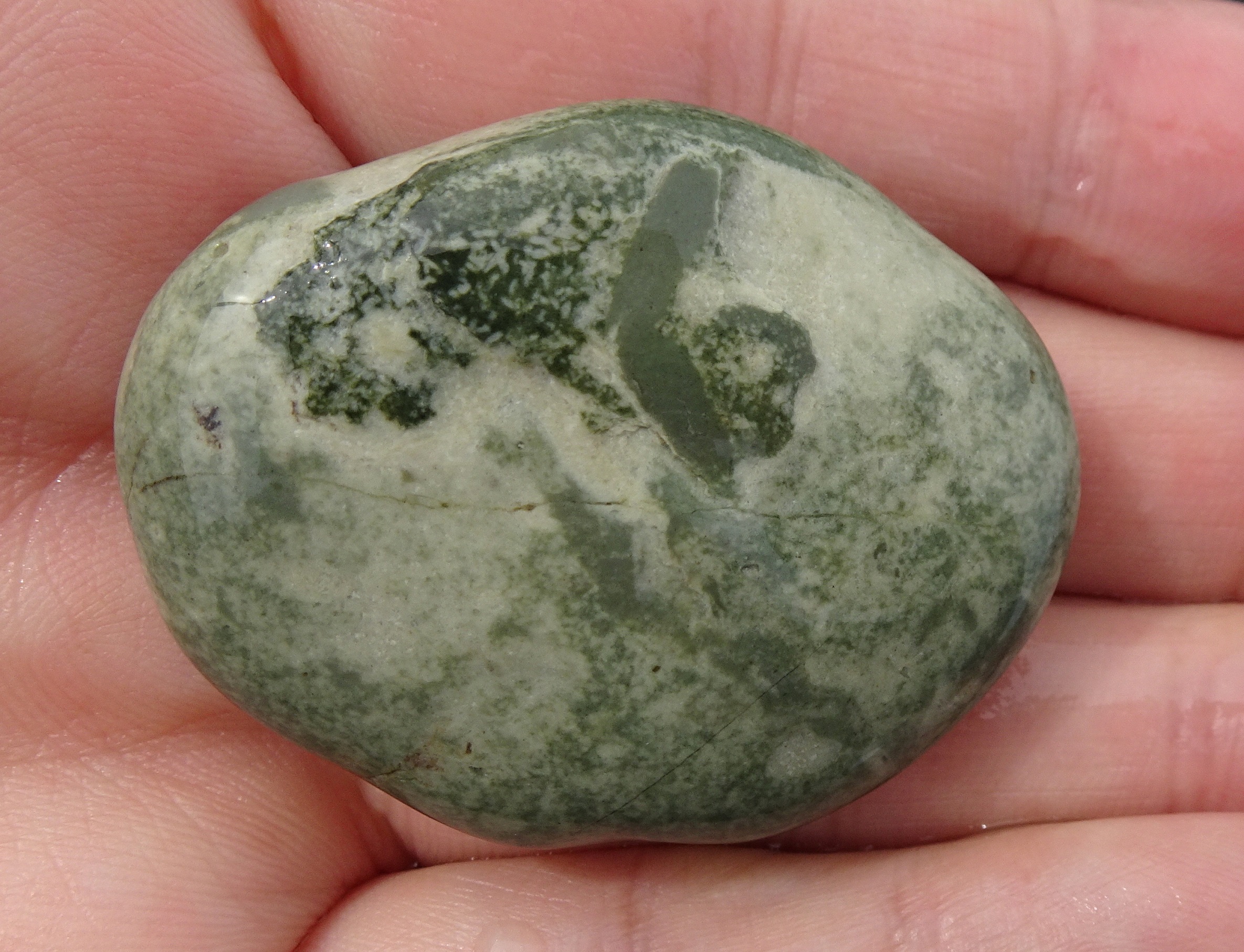 It looks like a trace fossil, but quite unusual...