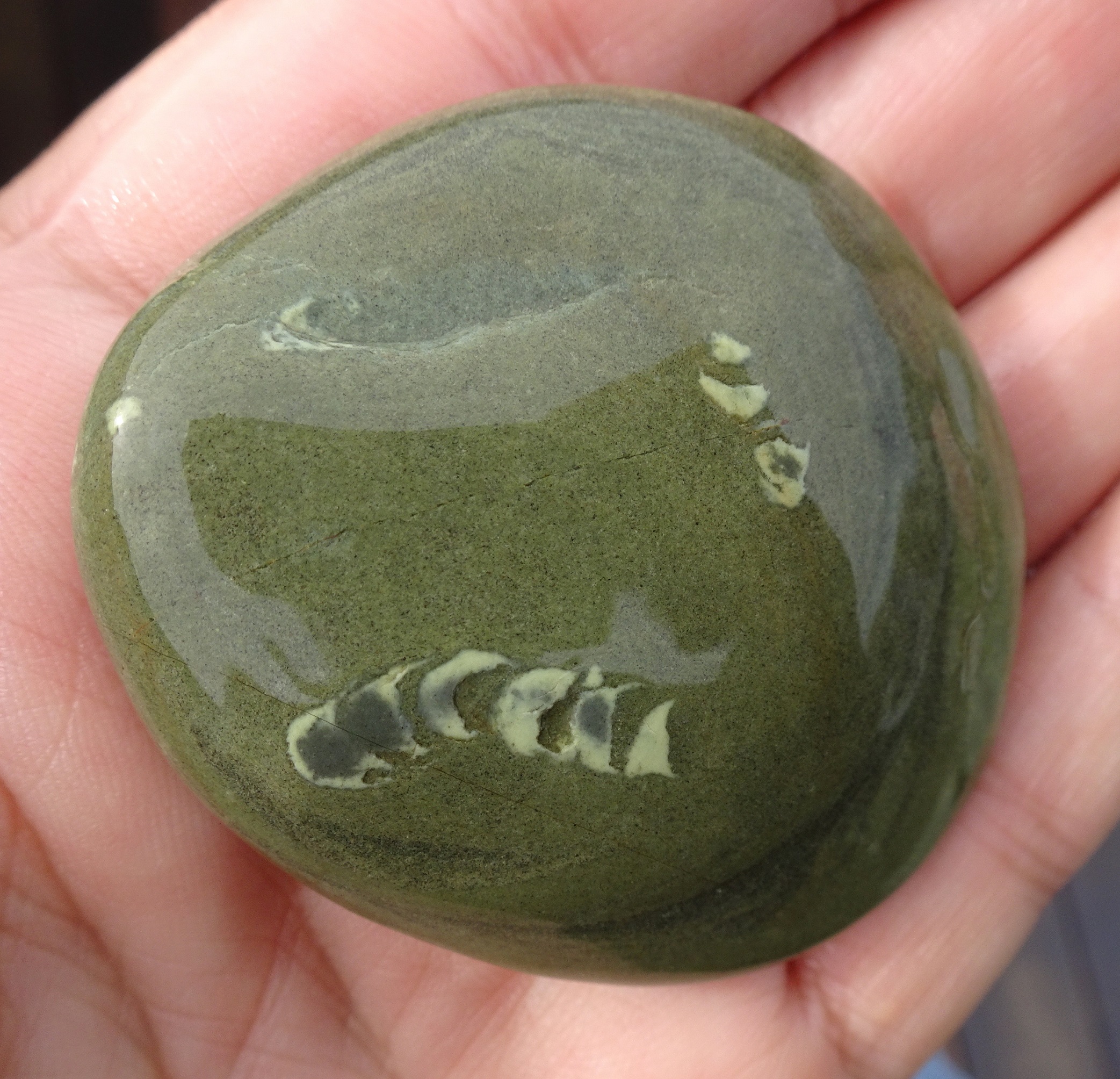 This trace fossil is not only bright but also slightly raised.