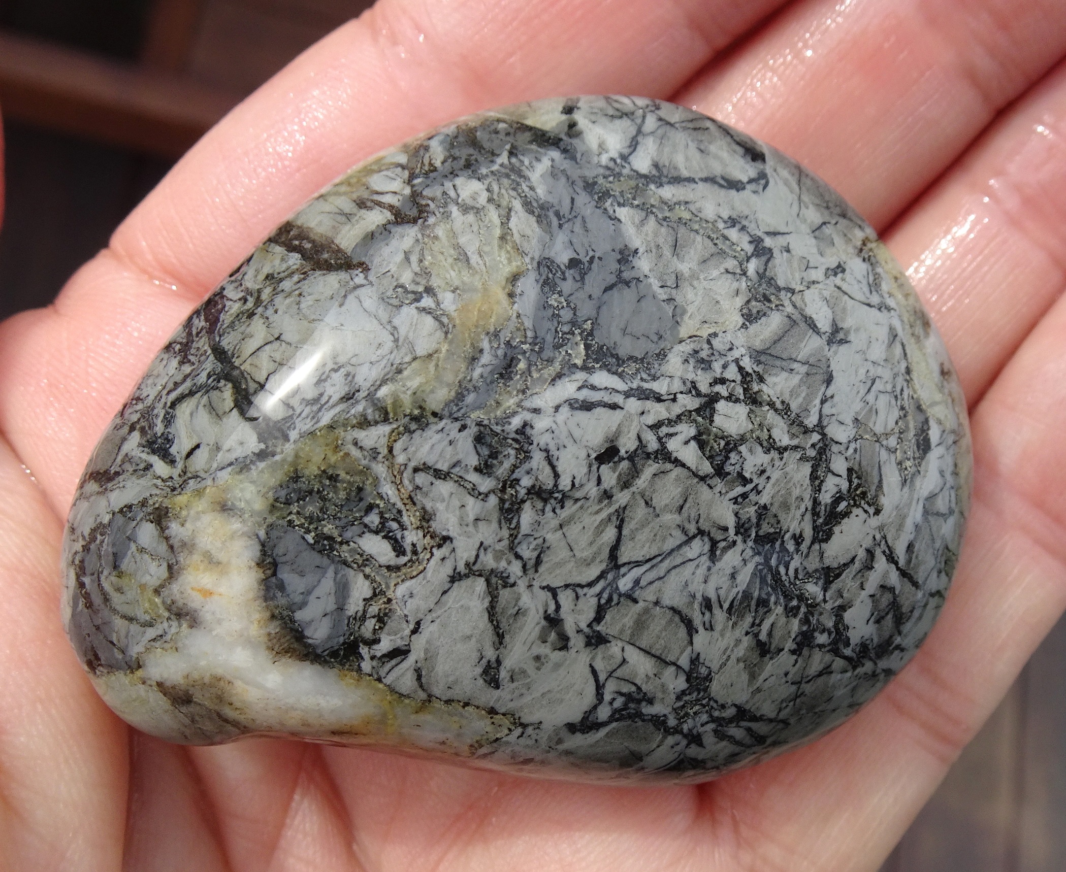 Grey breccia stone.