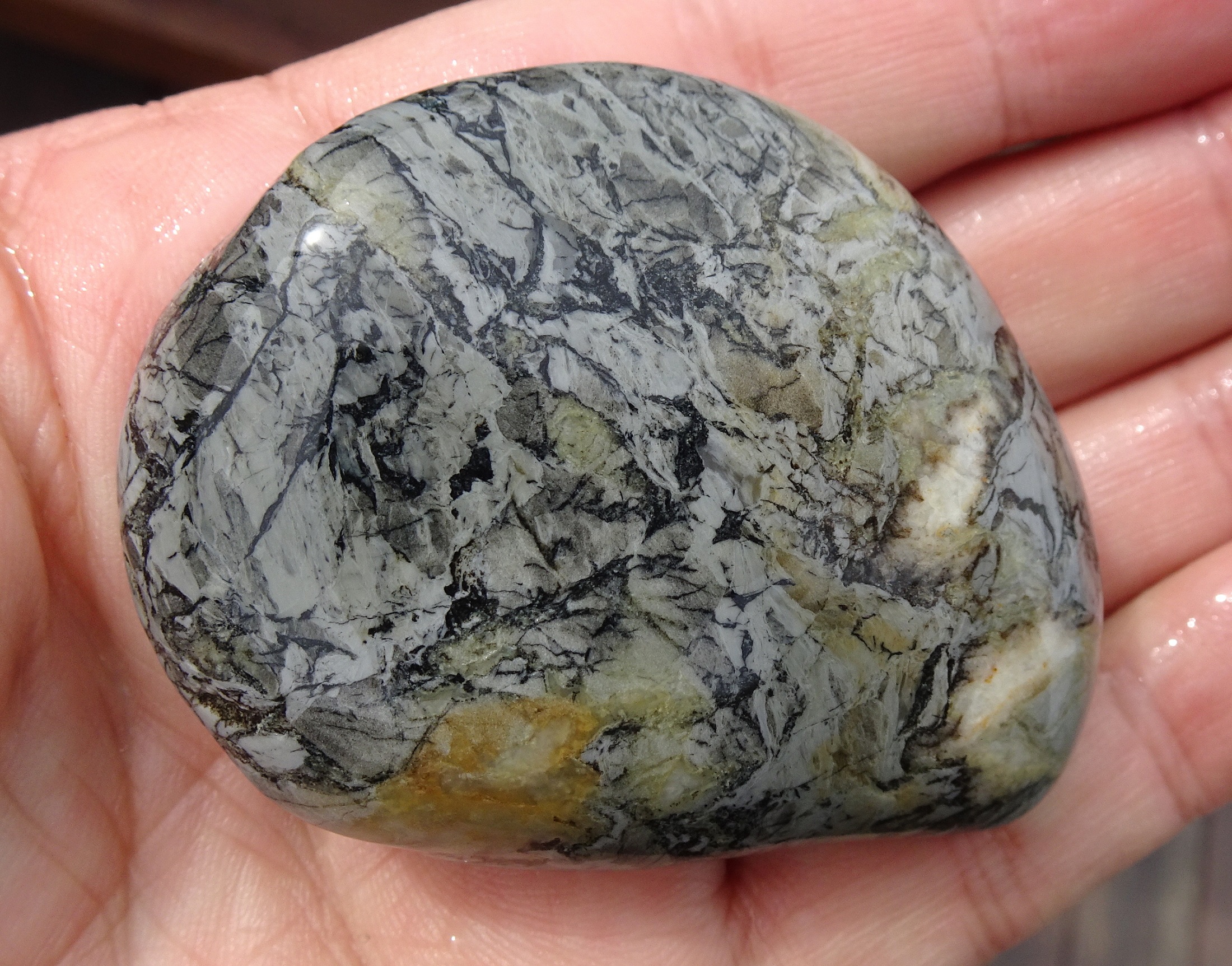 Other side of grey breccia stone.