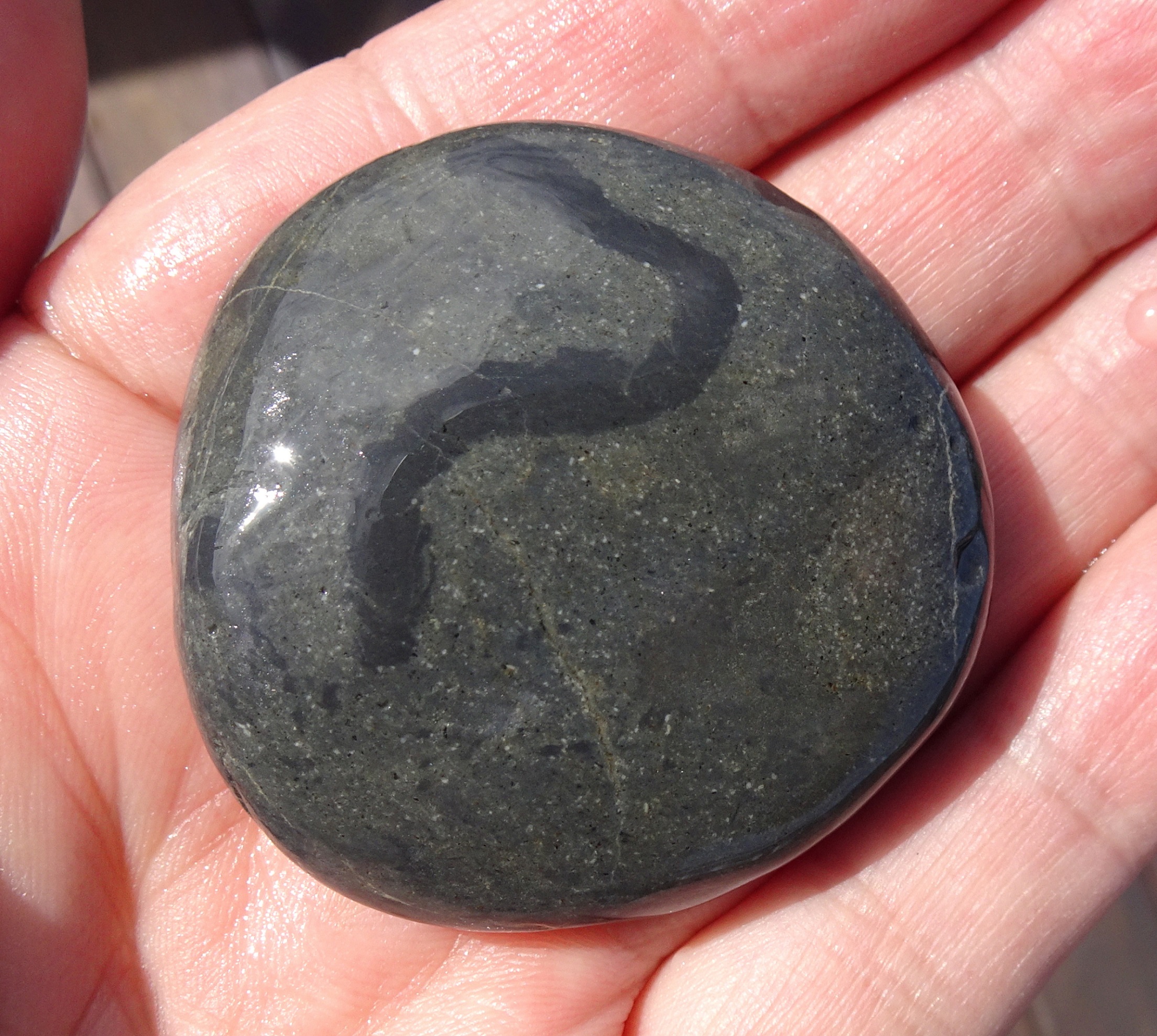 Stone 1, black trace fossil, when wet.
